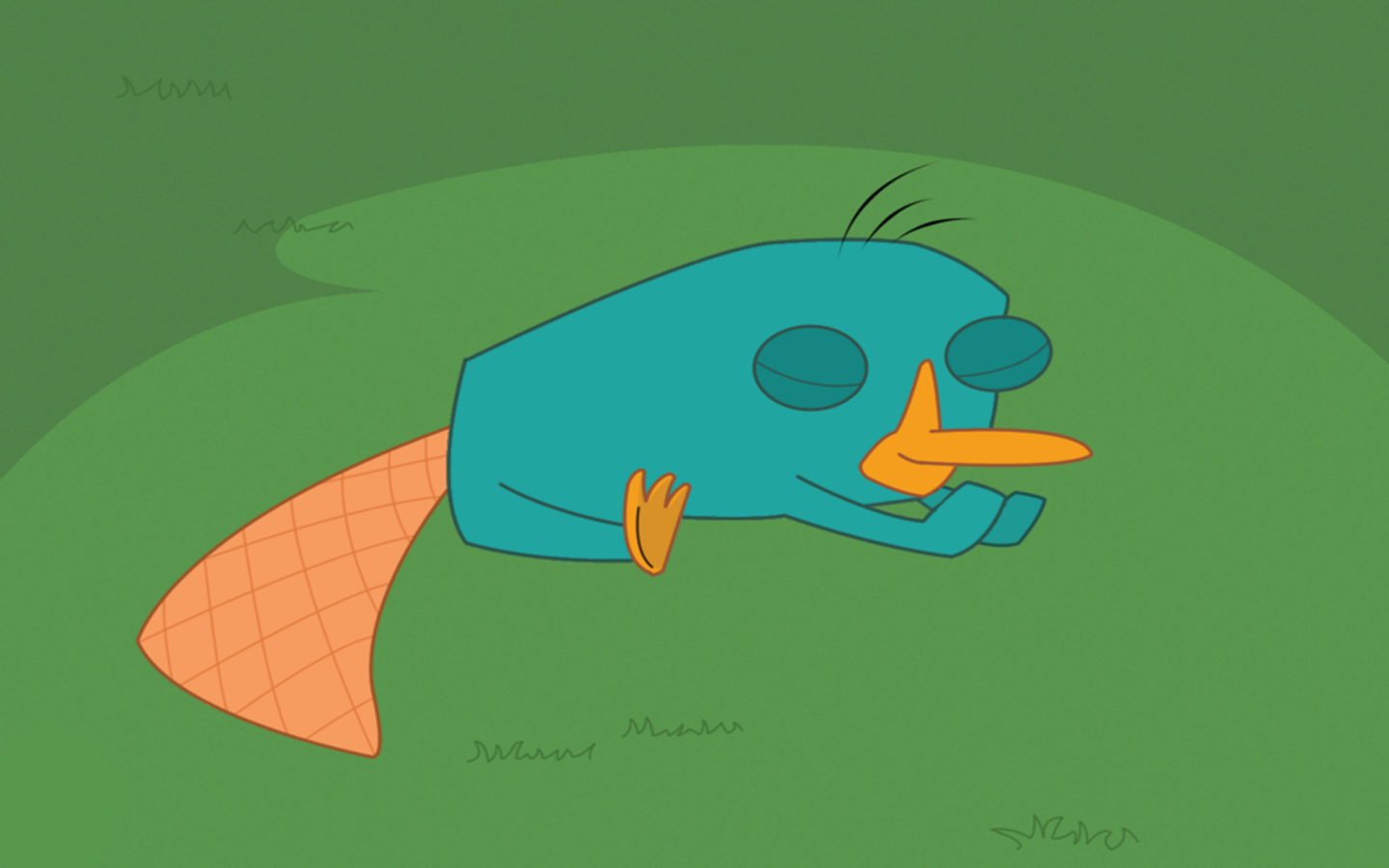 Platypus Wallpaper - Perry The Platypus Sleep , HD Wallpaper & Backgrounds