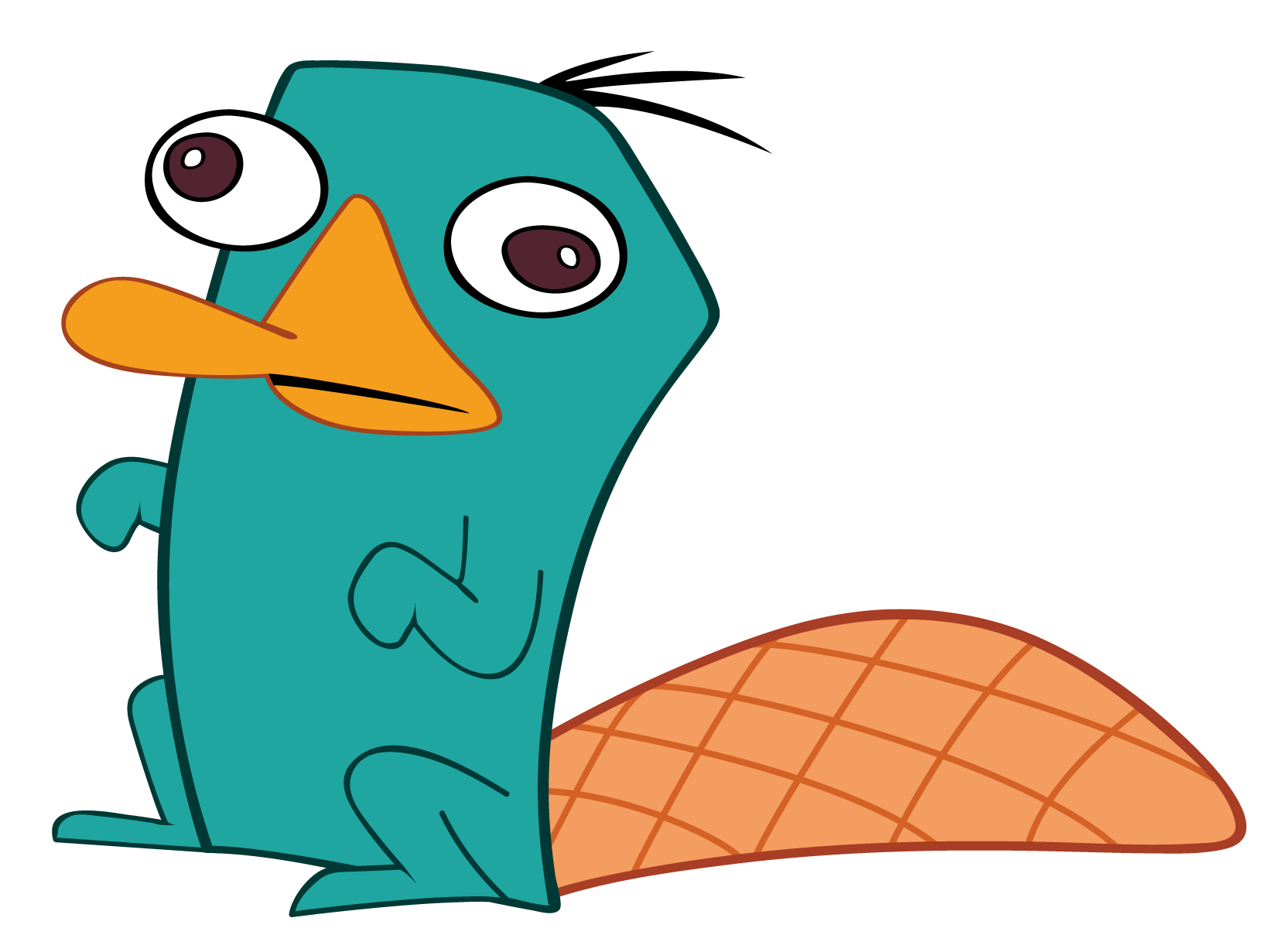 Platypus Wallpaper - Perry The Platypus , HD Wallpaper & Backgrounds