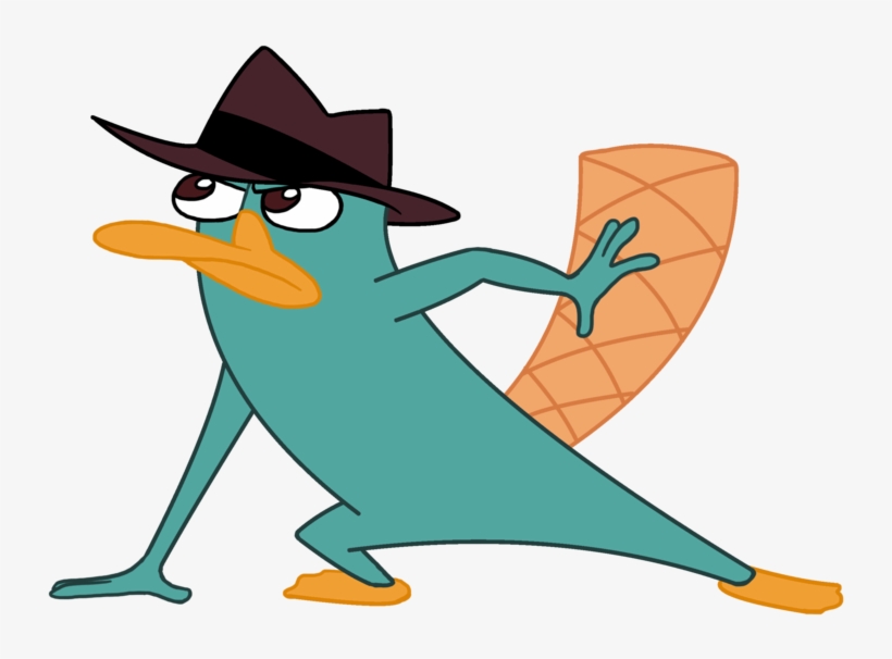 Perry The Platypus Fan Club Images Daily Perry 19 By - Perry The Platypus Transparent , HD Wallpaper & Backgrounds