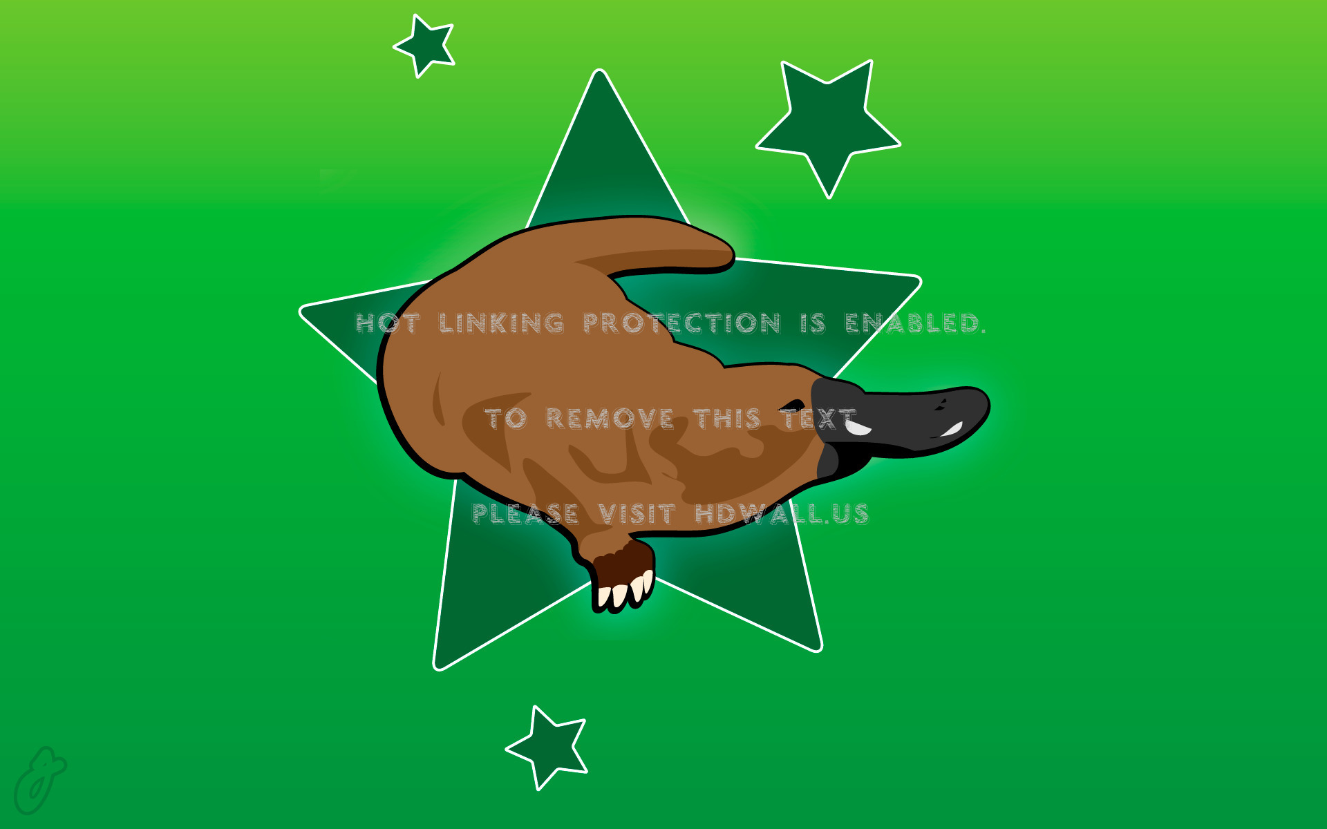 Stars Platypus Normal - Cartoon , HD Wallpaper & Backgrounds
