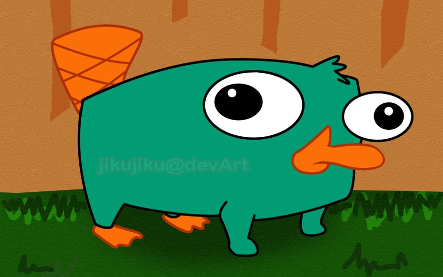 Perry The Platypus Perry The Platypus Images Baby Perry - Baby Perry Platypus , HD Wallpaper & Backgrounds