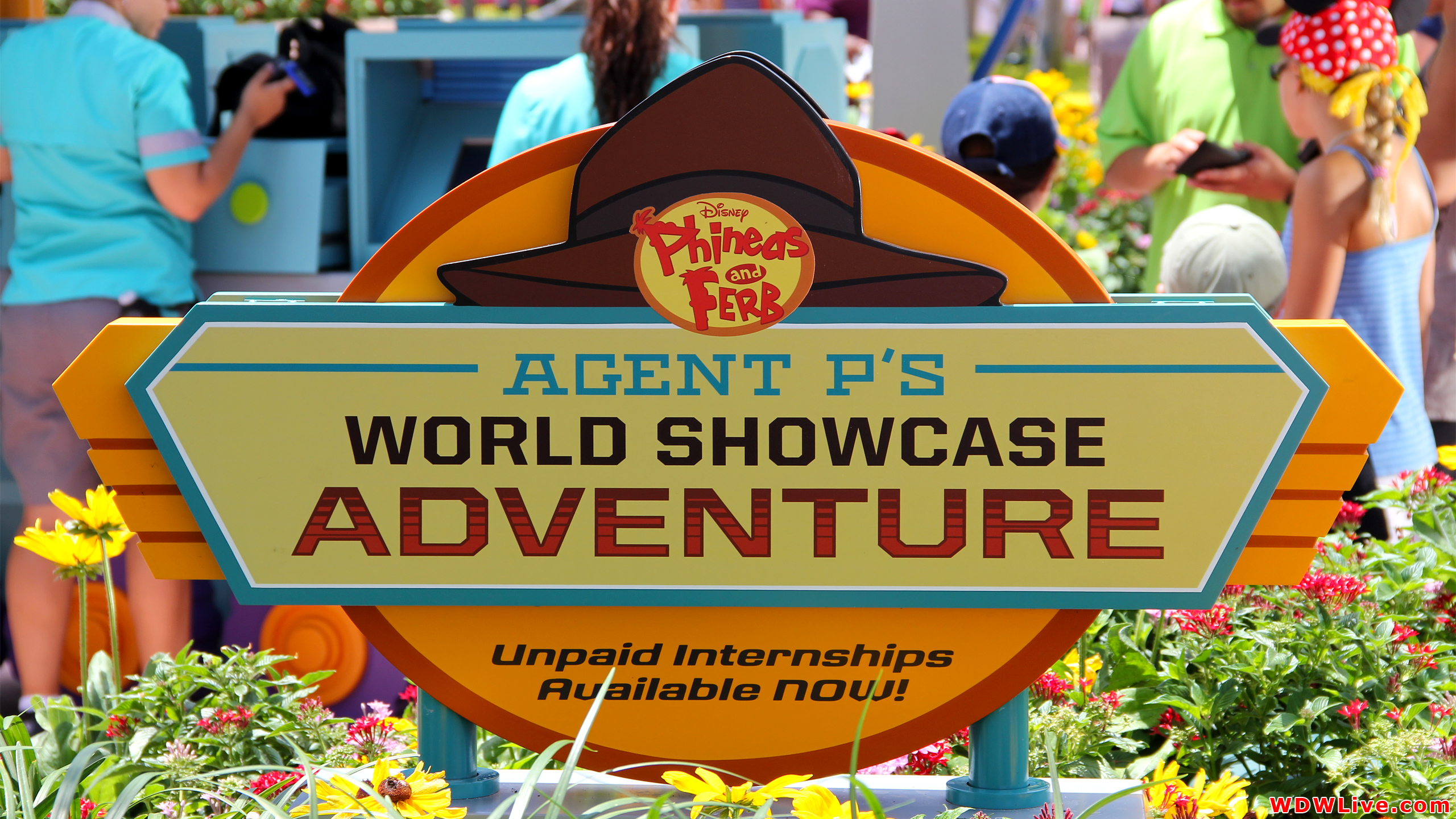 Agent P's World Showcase Adventure Desktop Wallpaper - Phineas And Ferb , HD Wallpaper & Backgrounds