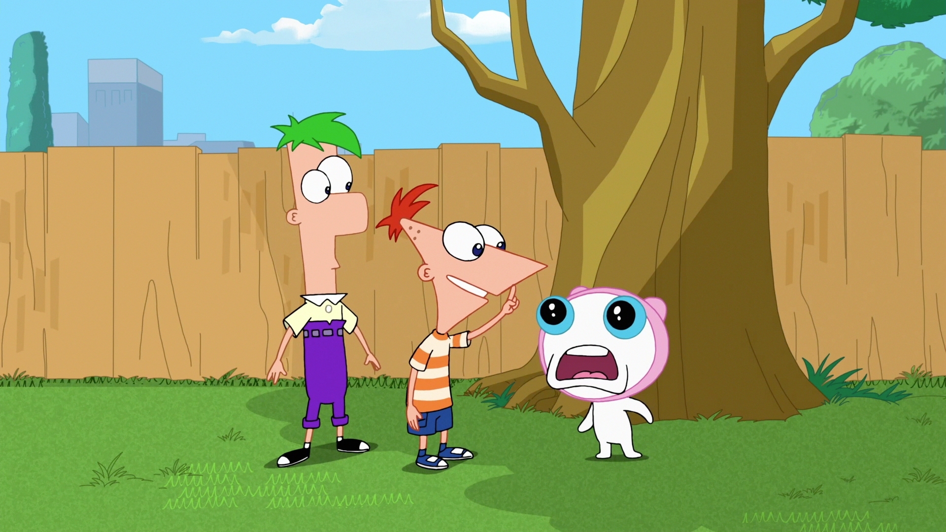 Phineas And Ferb Netflex , HD Wallpaper & Backgrounds