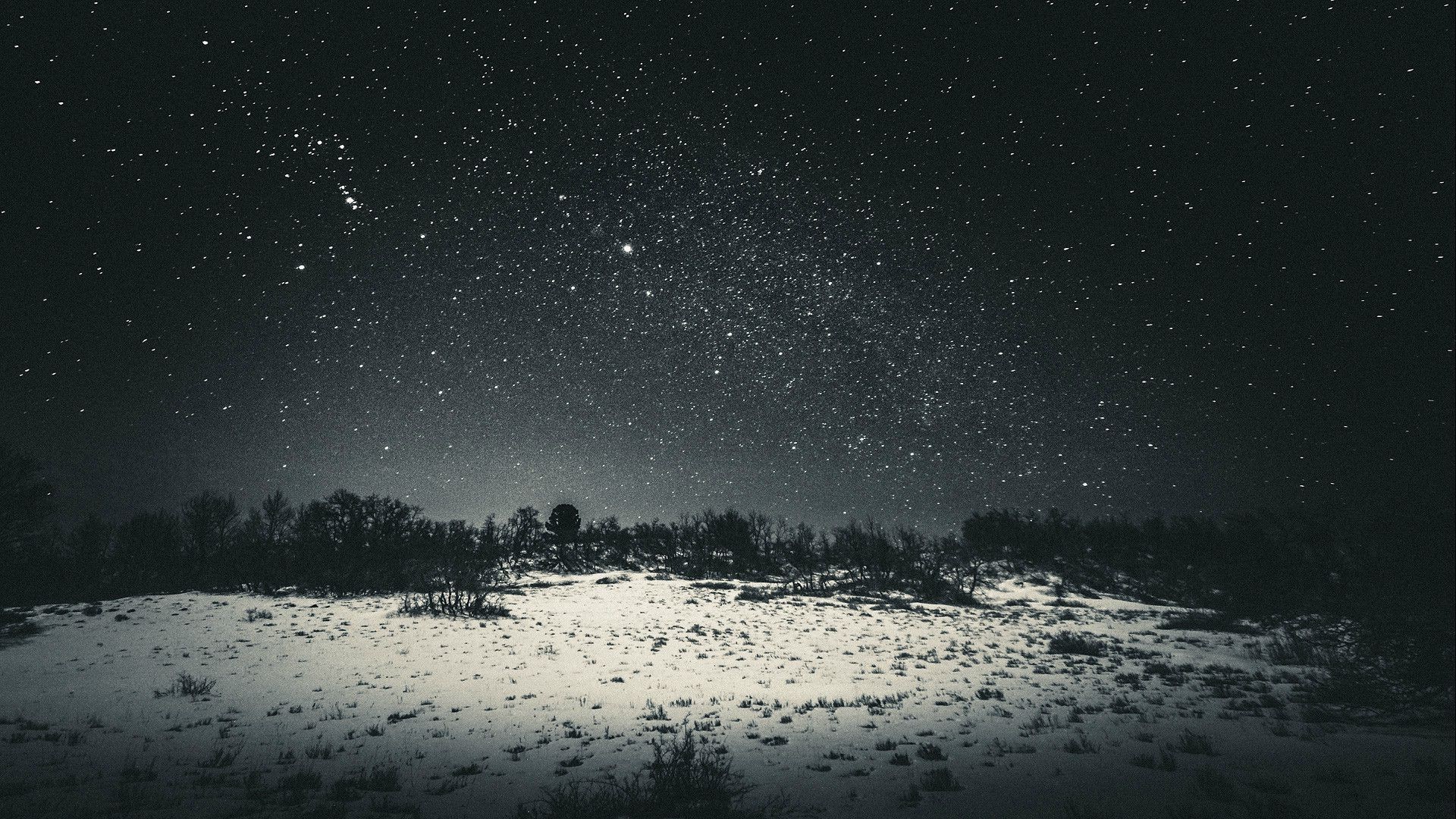 Snow Stars Forest Clearing Nature Landscape Star Trails - Dark Snow , HD Wallpaper & Backgrounds
