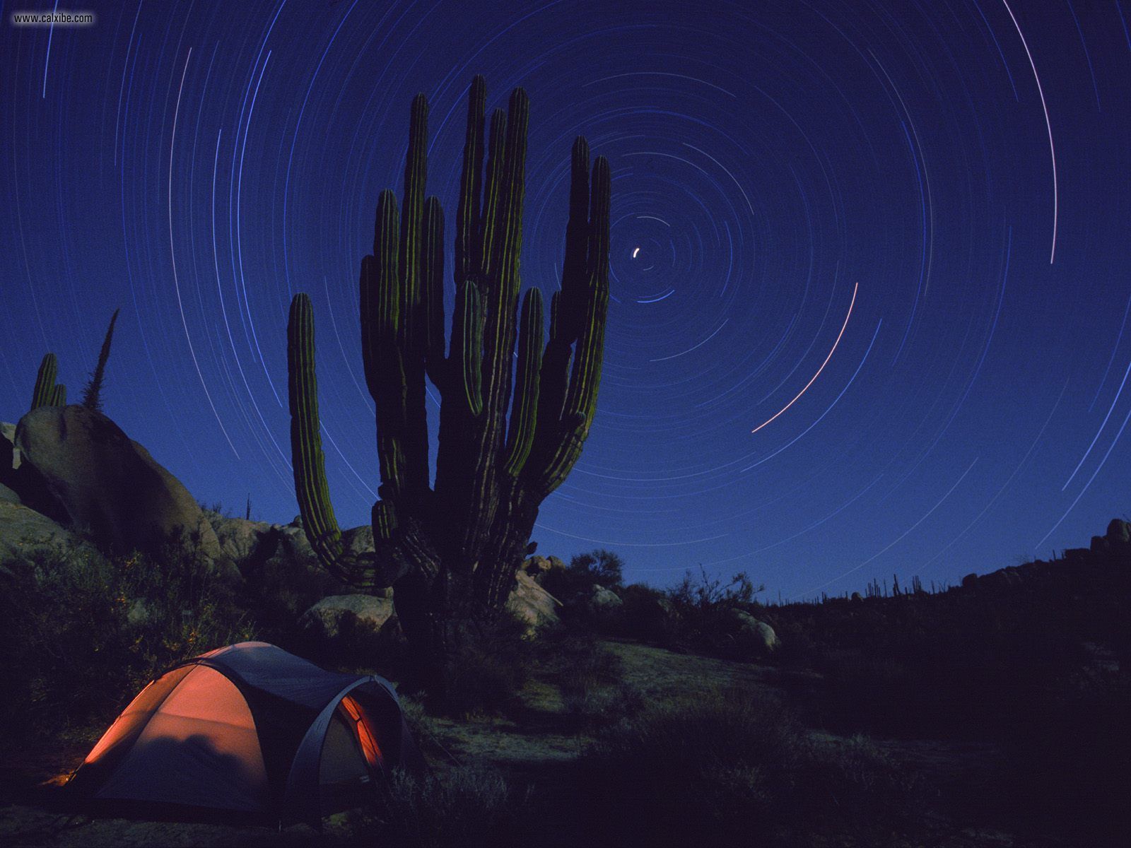Star Trails Over Cordon Cactus Camp Baja Mexico - Acanthocereus Tetragonus , HD Wallpaper & Backgrounds