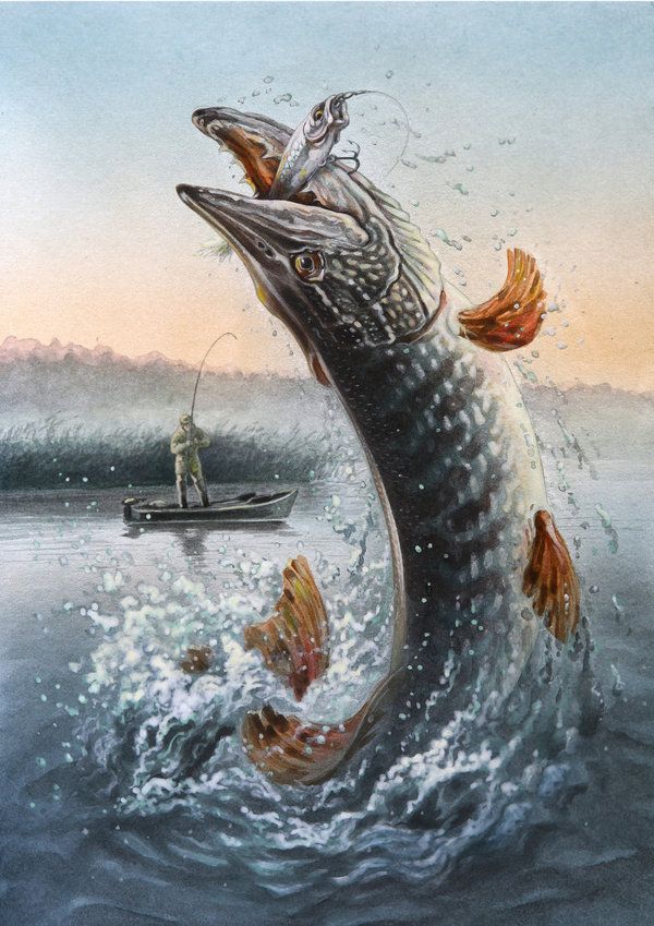 Paintings Of Pike - Northern Pike , HD Wallpaper & Backgrounds