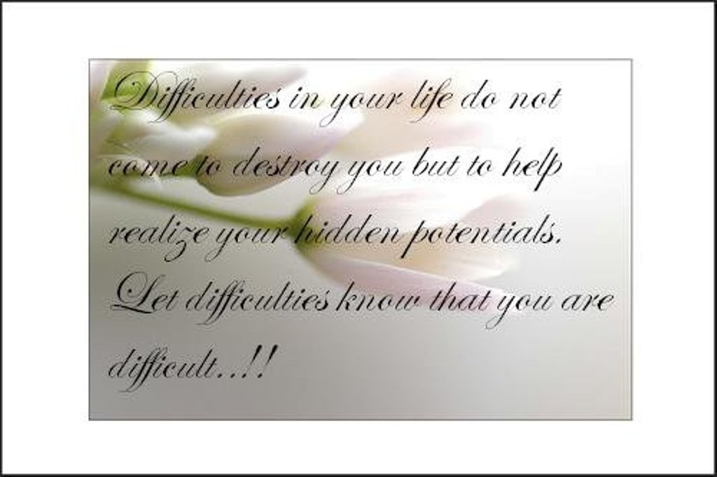 Difficulties Leaves Peach Perseverance Tulips Flower - Calligraphy , HD Wallpaper & Backgrounds