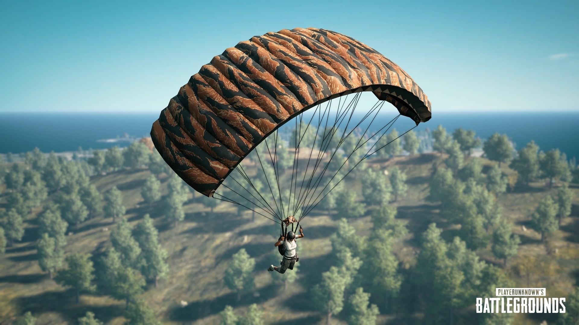 Parachute Live Wallpaper - Pubg Parachute , HD Wallpaper & Backgrounds