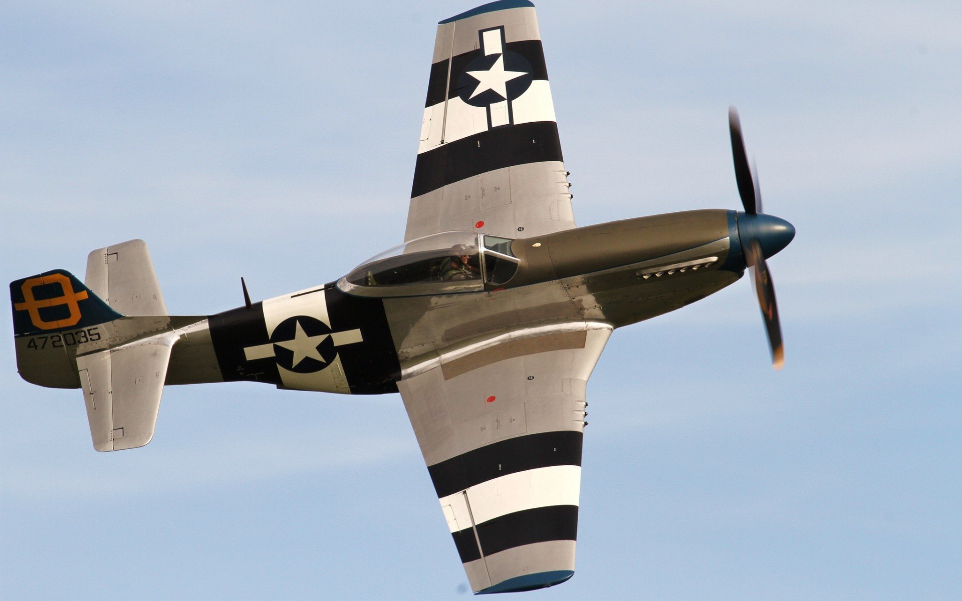 North American P 51 Mustang Wallpaper And Background - Curtiss P-40 Warhawk , HD Wallpaper & Backgrounds