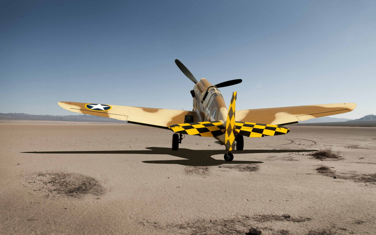 Fighter Aircraft, Propeller, Military Aircraft, Monoplane, - Curtiss P-40 Warhawk , HD Wallpaper & Backgrounds