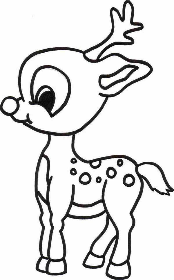 Rudolph The Red Nosed Reindeer Coloring Pages Images - Rudolph The Red Nosed Reindeer Drawings , HD Wallpaper & Backgrounds