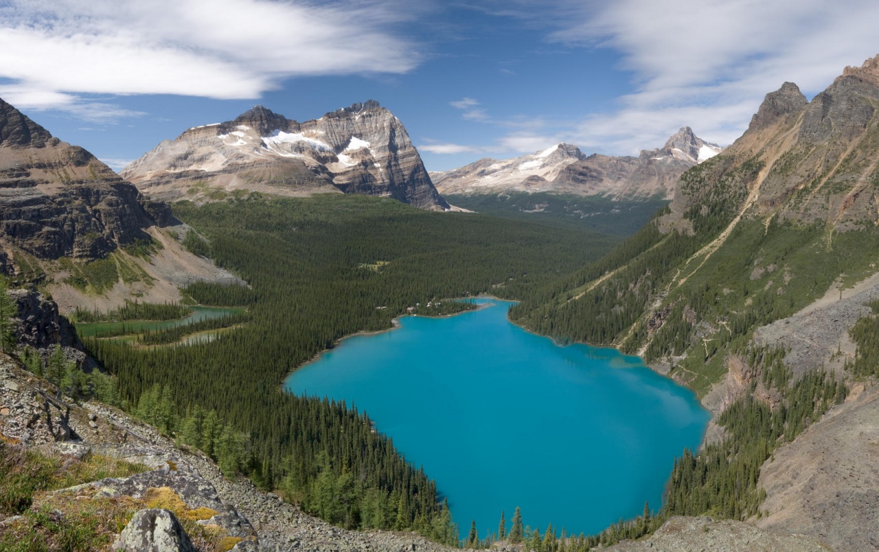 Originalhd Mountains Forest Lake Columbia Wallpapers - Lake O'hara , HD Wallpaper & Backgrounds
