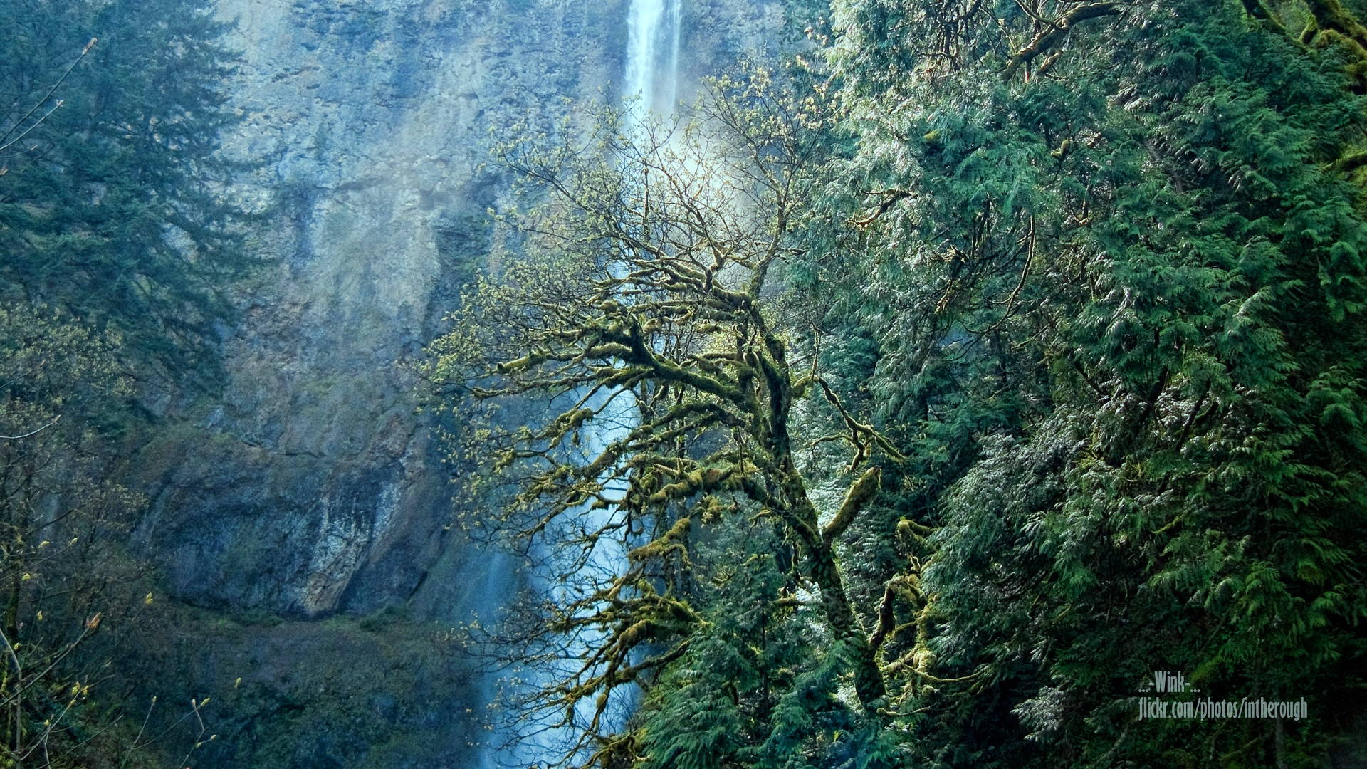 Multnomah Falls, Oregon, Columbia River Gorge Wallpaper , HD Wallpaper & Backgrounds
