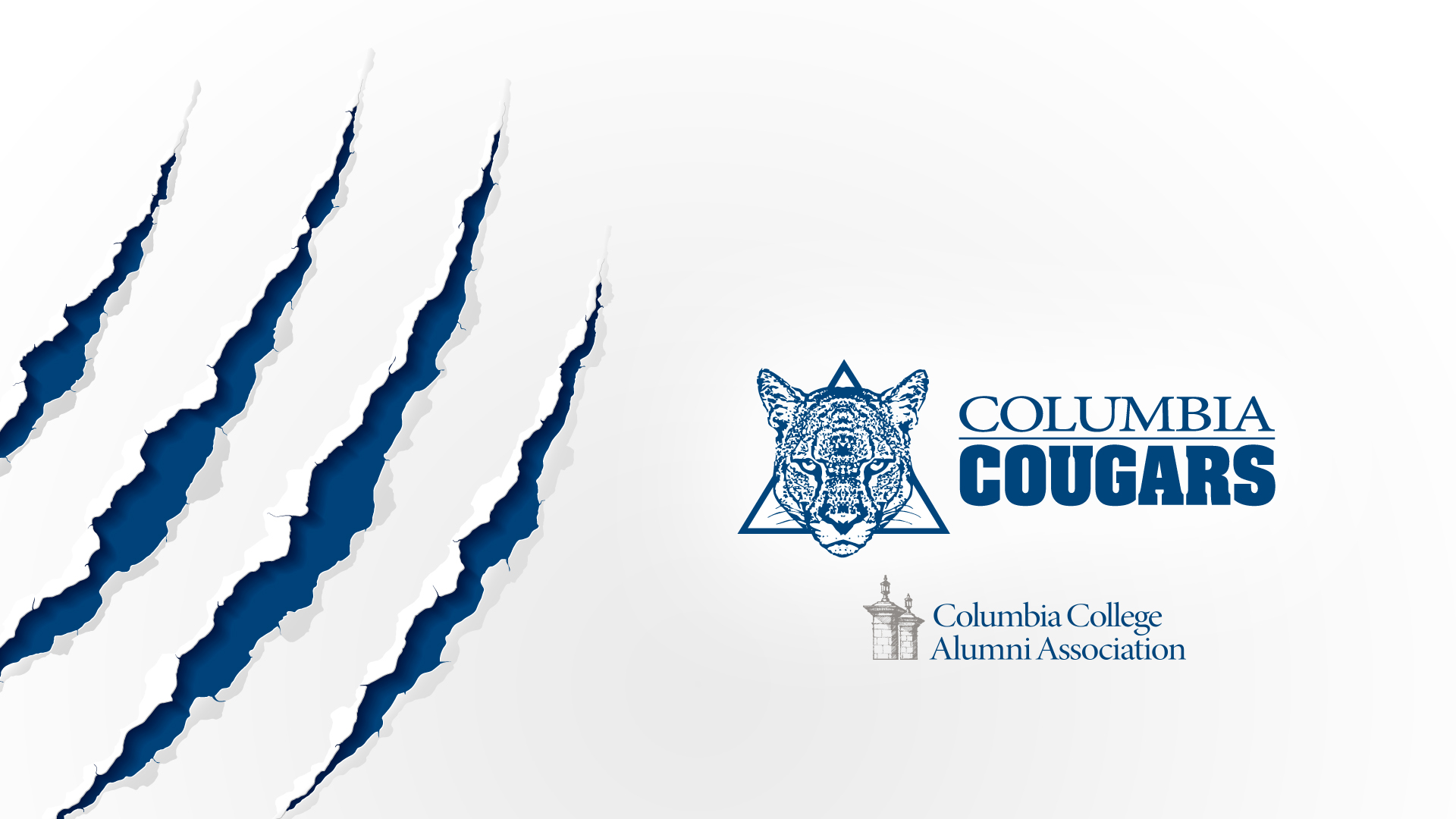 Columbia College - Bear Scratch Marks , HD Wallpaper & Backgrounds