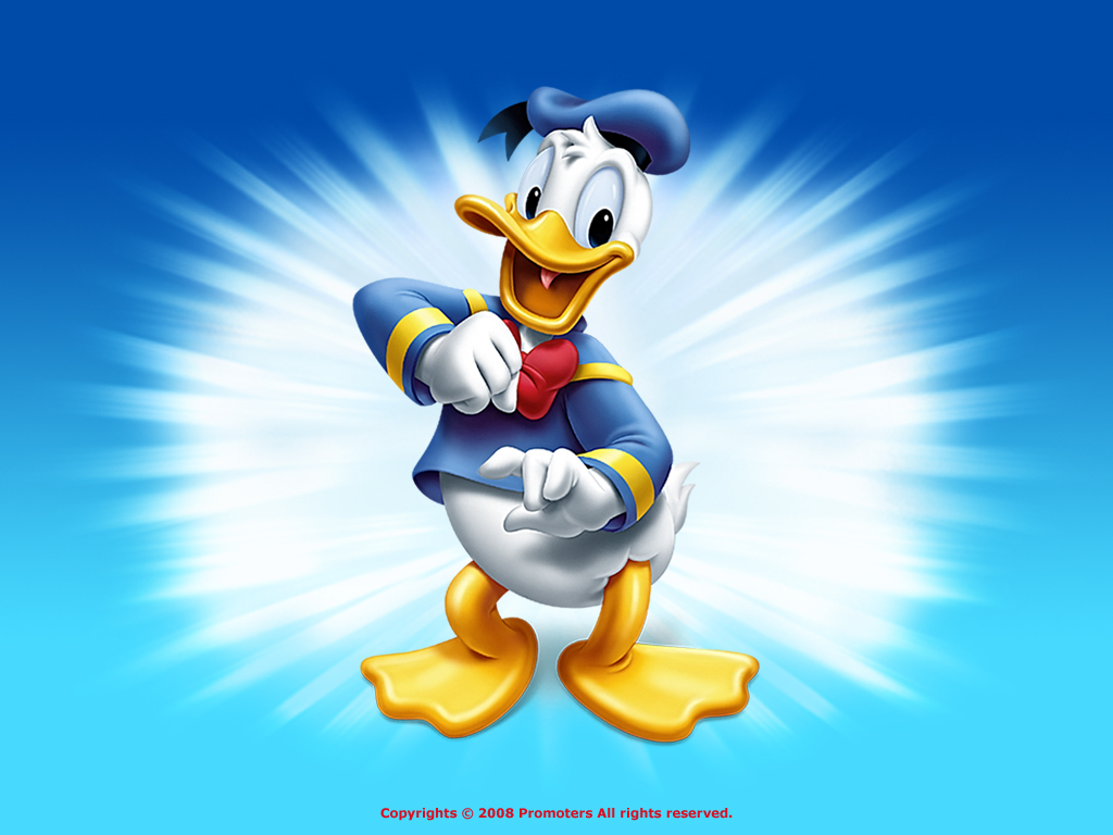 Donald Duck As Trump , HD Wallpaper & Backgrounds