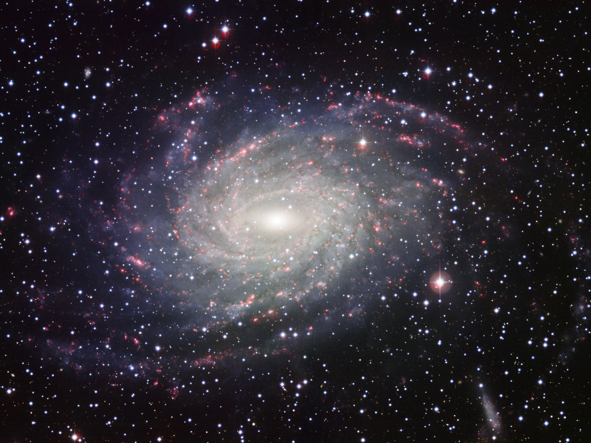 This Picture Of The Nearby Galaxy Ngc 6744 Was Taken - Spiral Galaxies Milky Way , HD Wallpaper & Backgrounds