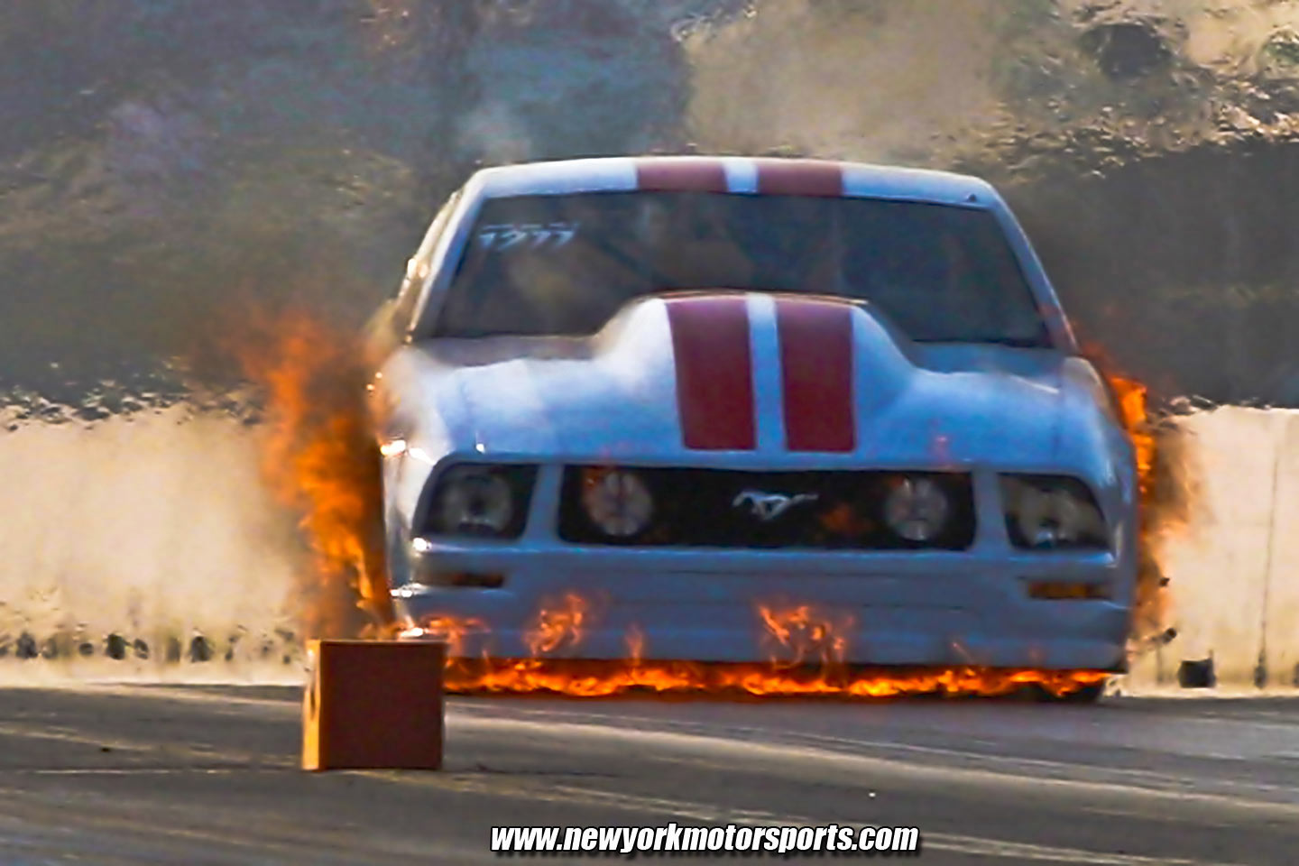 Outlaw 10 5 Mustang On Fire Wallpaper Background 1440x960 - Mustang On Fire , HD Wallpaper & Backgrounds