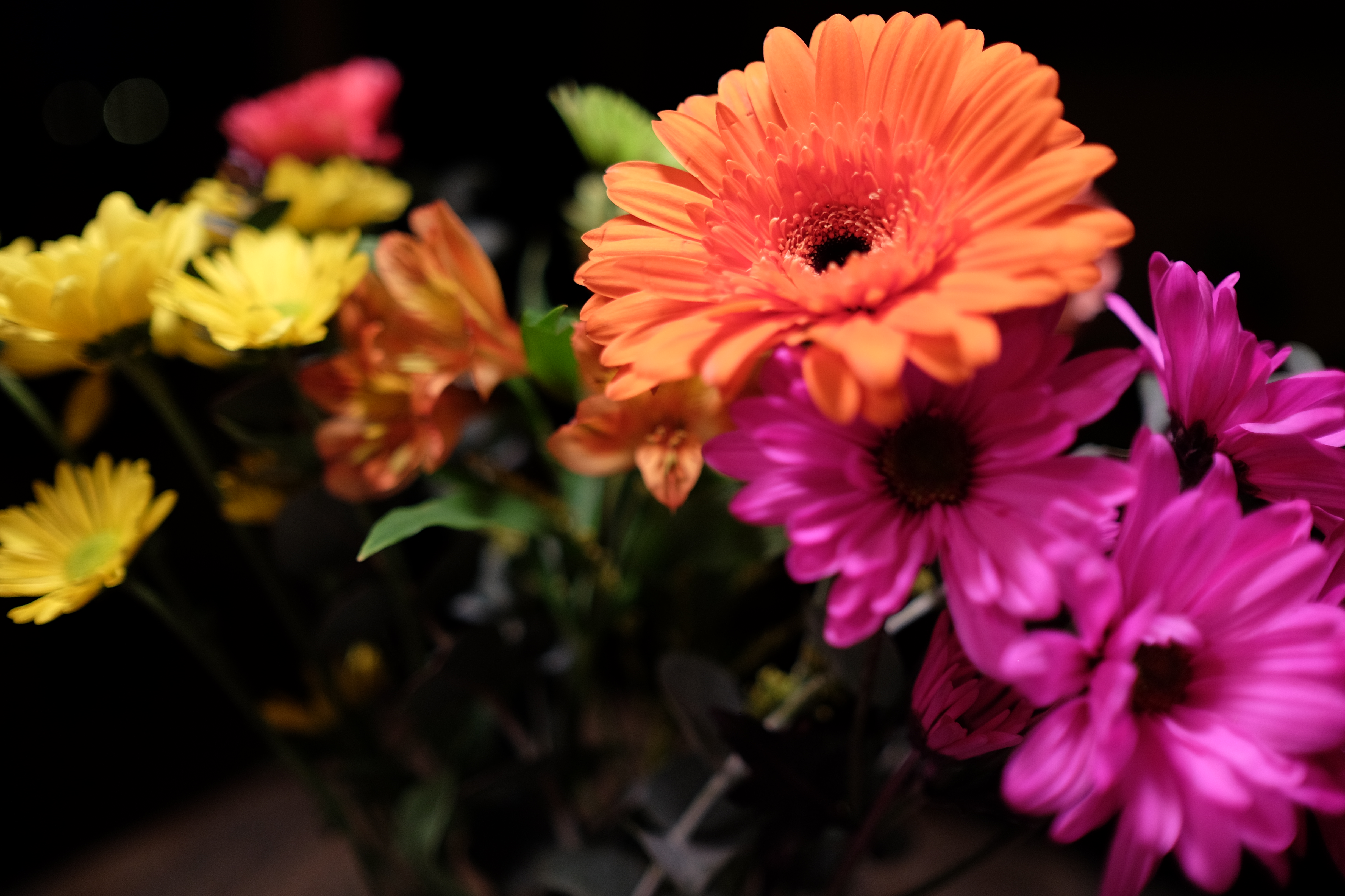 4 @ 23 Mm, 1/105, Iso 400, No Flash, Handheld - 400 Pixels Wide And 150 Pixels Tall Flowers Pic , HD Wallpaper & Backgrounds