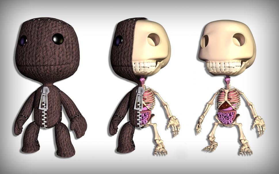 Littlebigplanet Sackboy Skeleton Anatomy Bones Hd Wallpaper - Little Big Planet 2 Sackboy , HD Wallpaper & Backgrounds