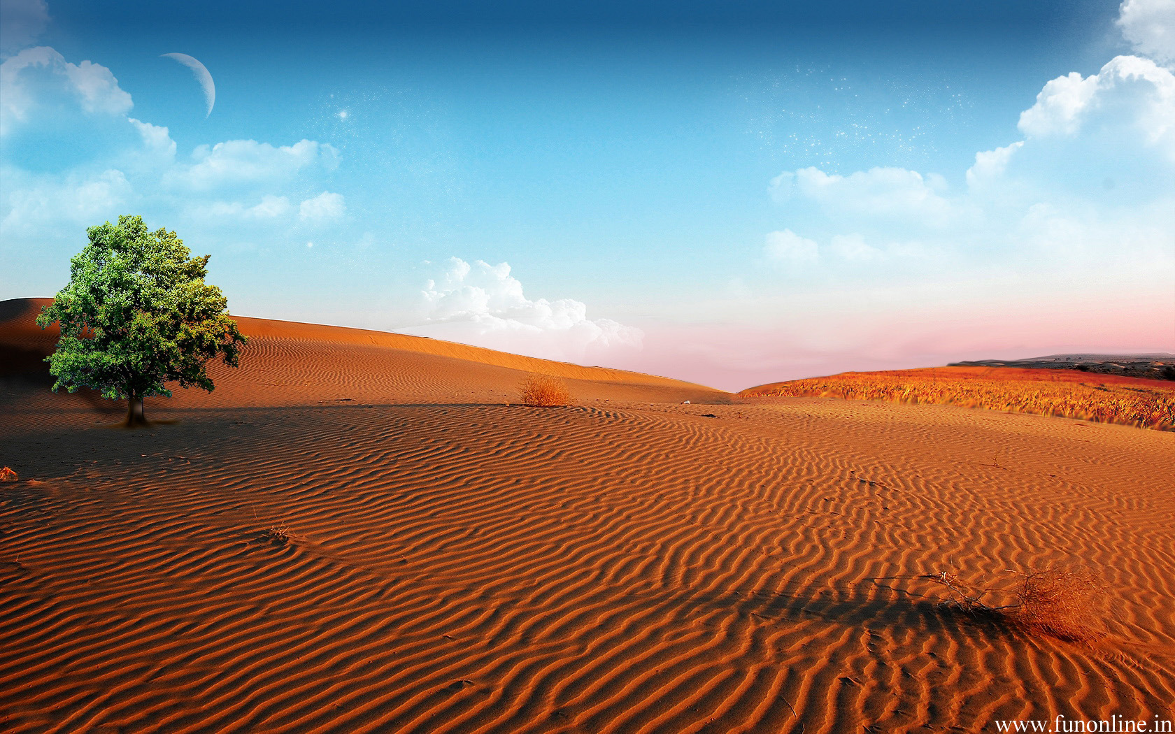 Sandy Desert , HD Wallpaper & Backgrounds