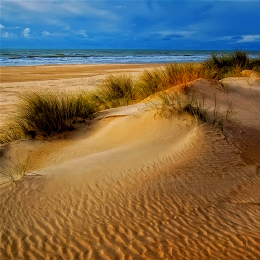 Sunny Bright Sandy Beach Landscape Ipad Air Wallpaper - Sandy Beach Landscape , HD Wallpaper & Backgrounds