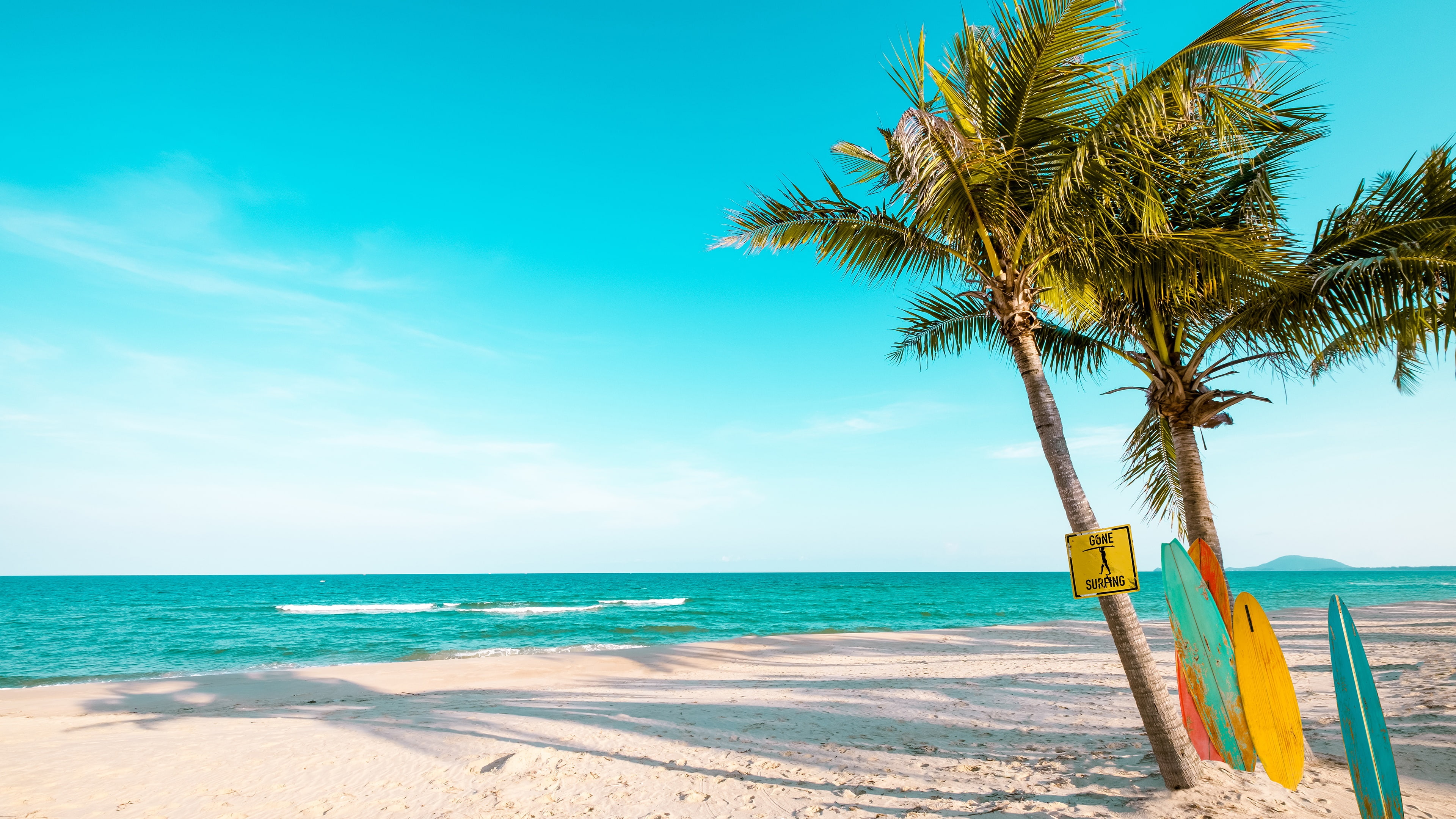 Palm, Sandy Beach, Summertime, Summer Landscape, Wind, - Beach , HD Wallpaper & Backgrounds