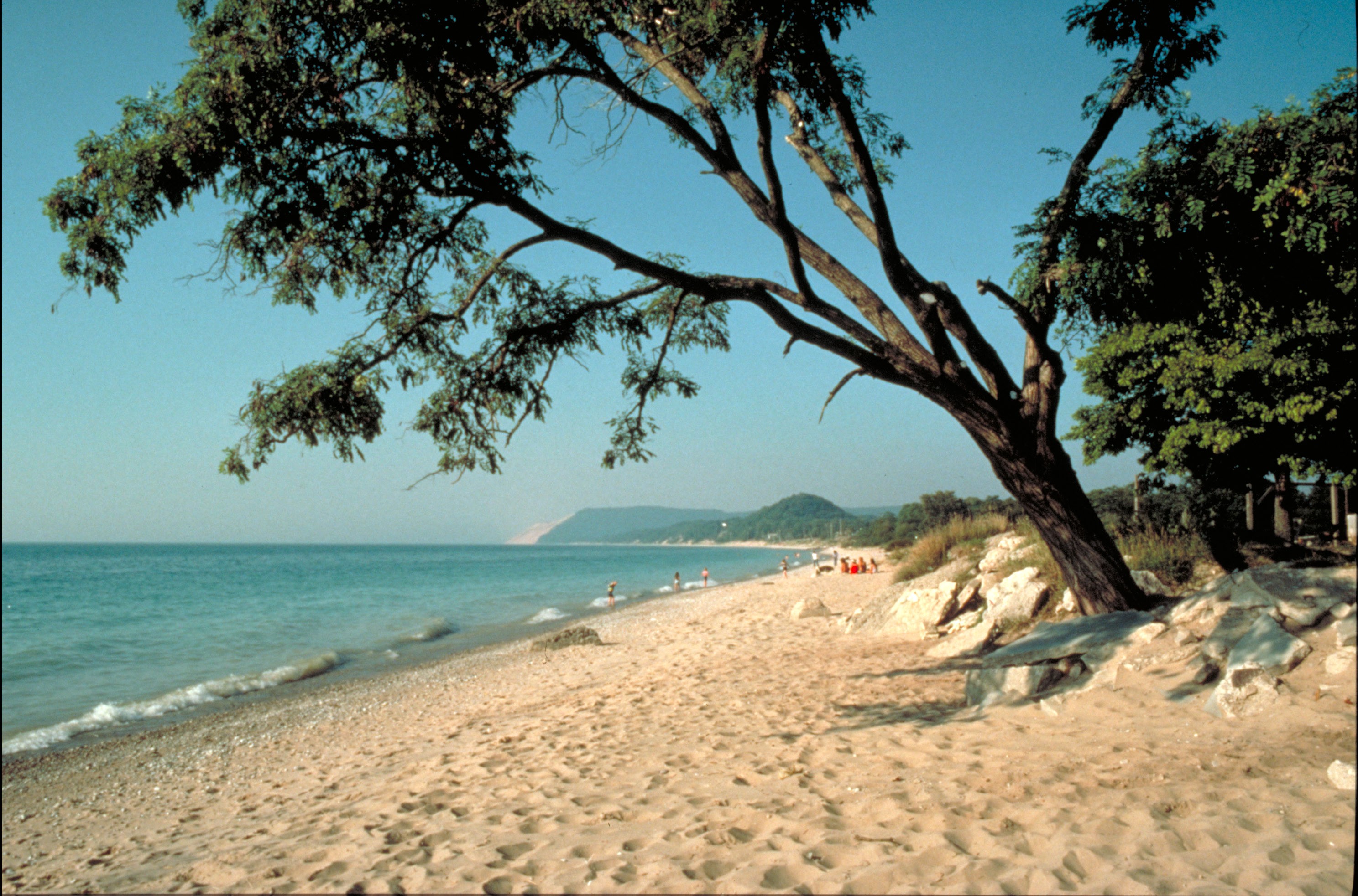 Sandy Beach And Tree Wallpaper - Summer Beach Lake Michigan , HD Wallpaper & Backgrounds