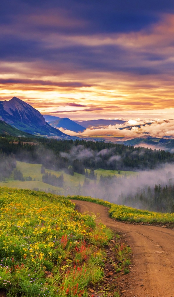 Mountains Forest Valley Dawn Fog - Paisajes De Atardeceres En Montañas , HD Wallpaper & Backgrounds