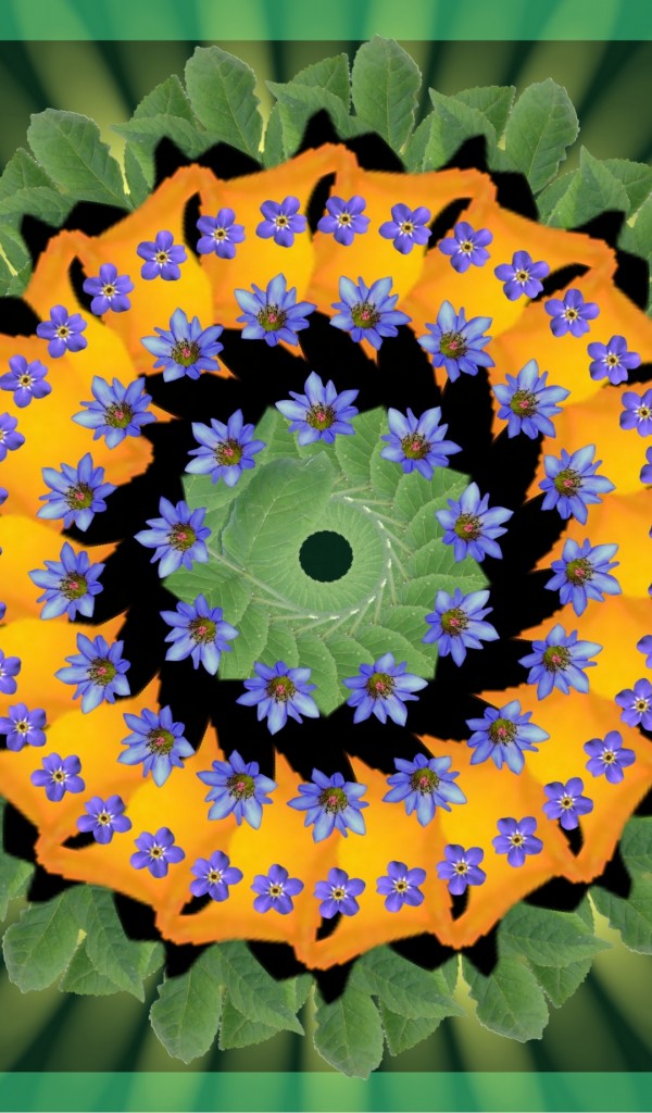 Amazon Kindle Wallpaper Flower Mandala - Sunflower , HD Wallpaper & Backgrounds