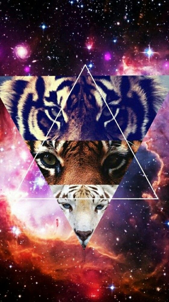 Galaxy Wallpaper Tumblr Triangle 472317 - Tiger Galaxy , HD Wallpaper & Backgrounds