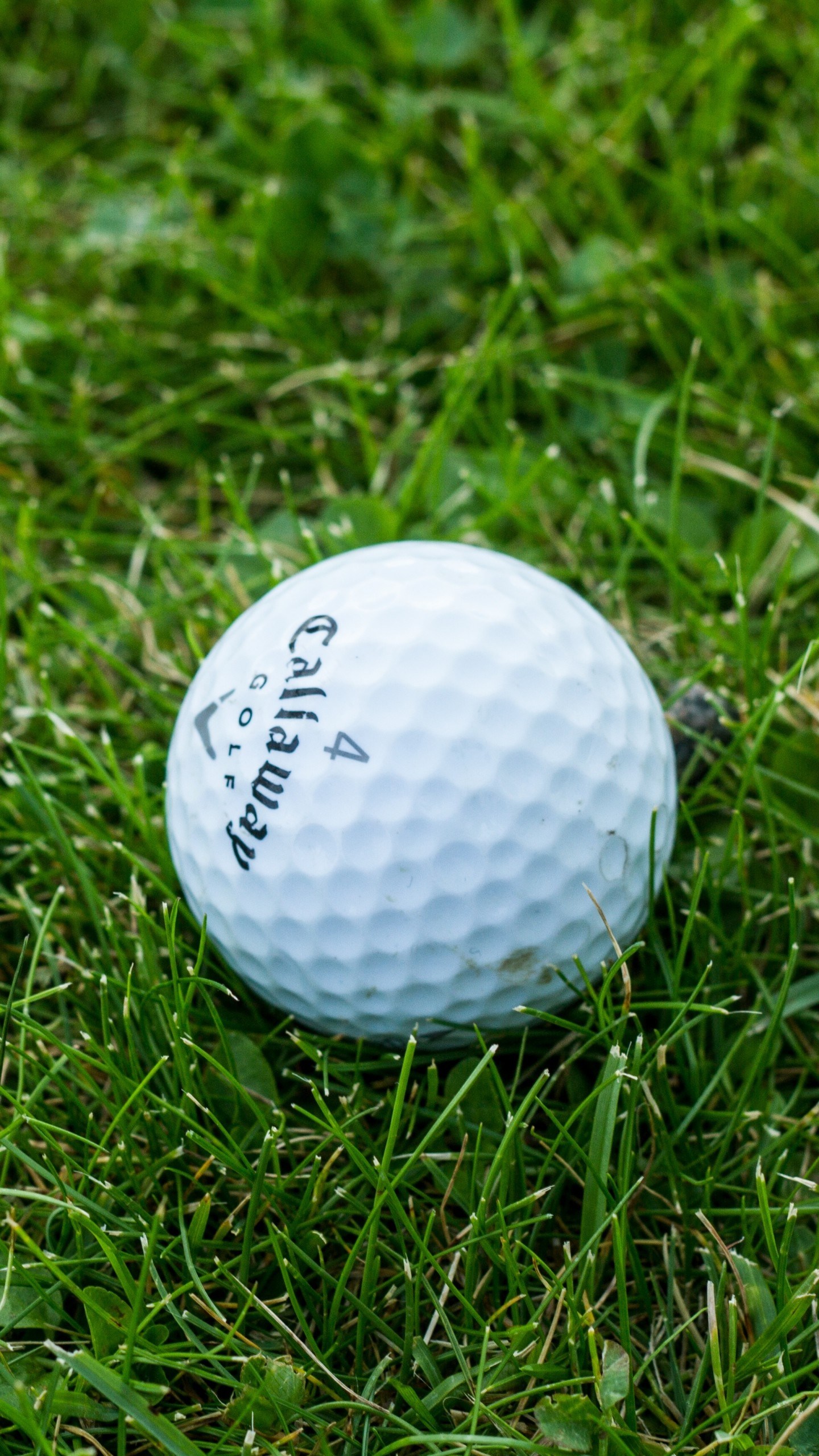 Best 62 Titleist Golf Wallpapers On Hdwallpaperspage - Iphone X Golf Background , HD Wallpaper & Backgrounds