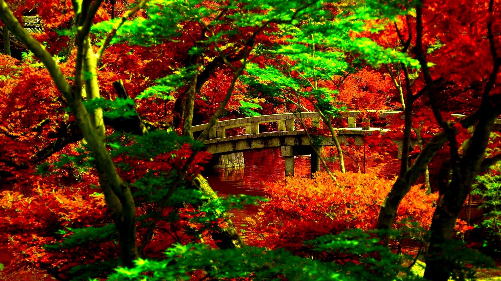Japanese Garden Autumn Bridge Free Download Wallpaper - Japan Wallpaper For Imac , HD Wallpaper & Backgrounds