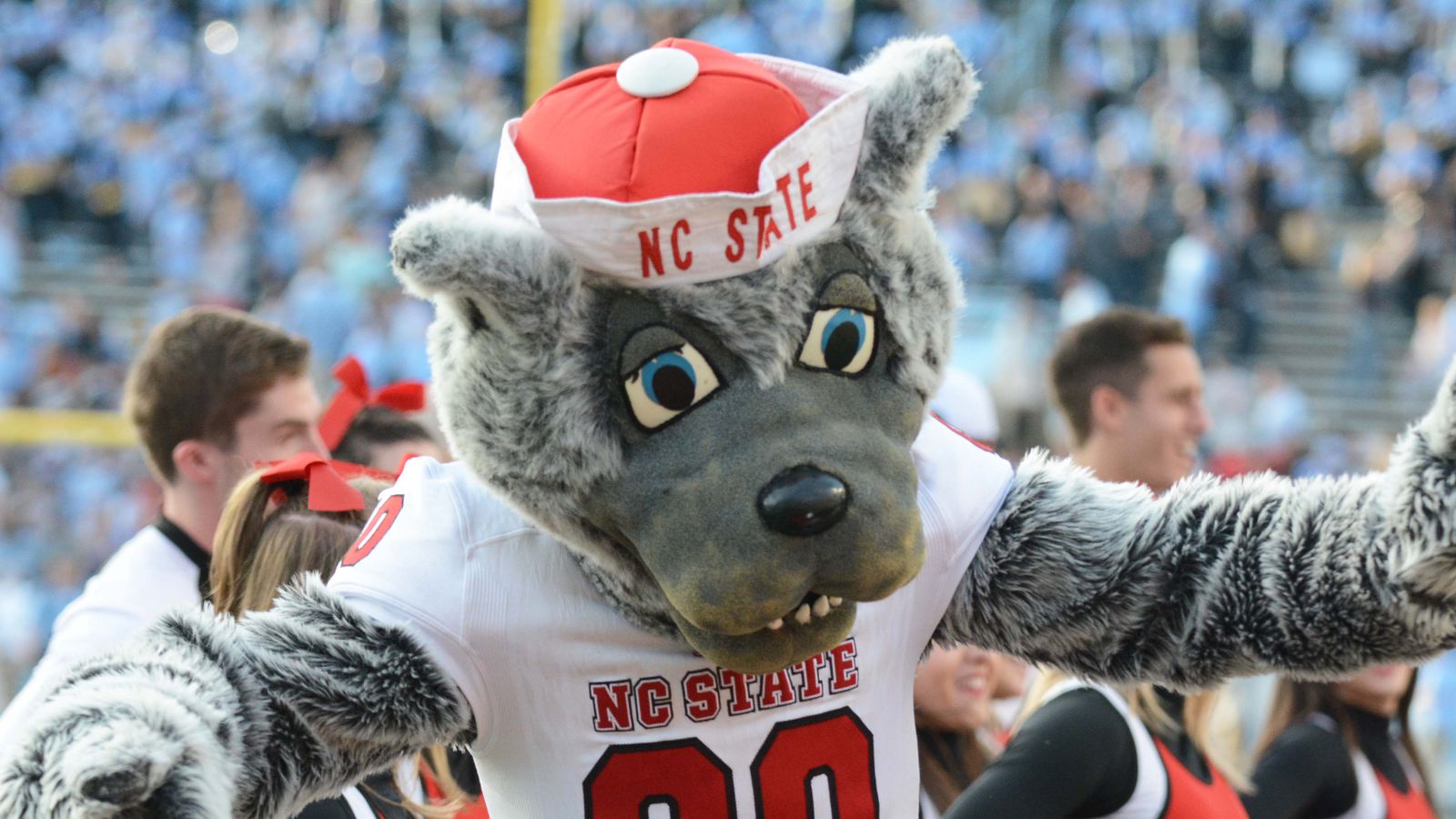 Gray Wolf Clipart Nc State - Nc State Usa Today , HD Wallpaper & Backgrounds