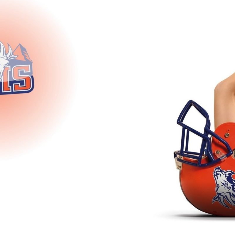 Blue Mountain State Wallpaper - Blue Mountain State Flyer , HD Wallpaper & Backgrounds