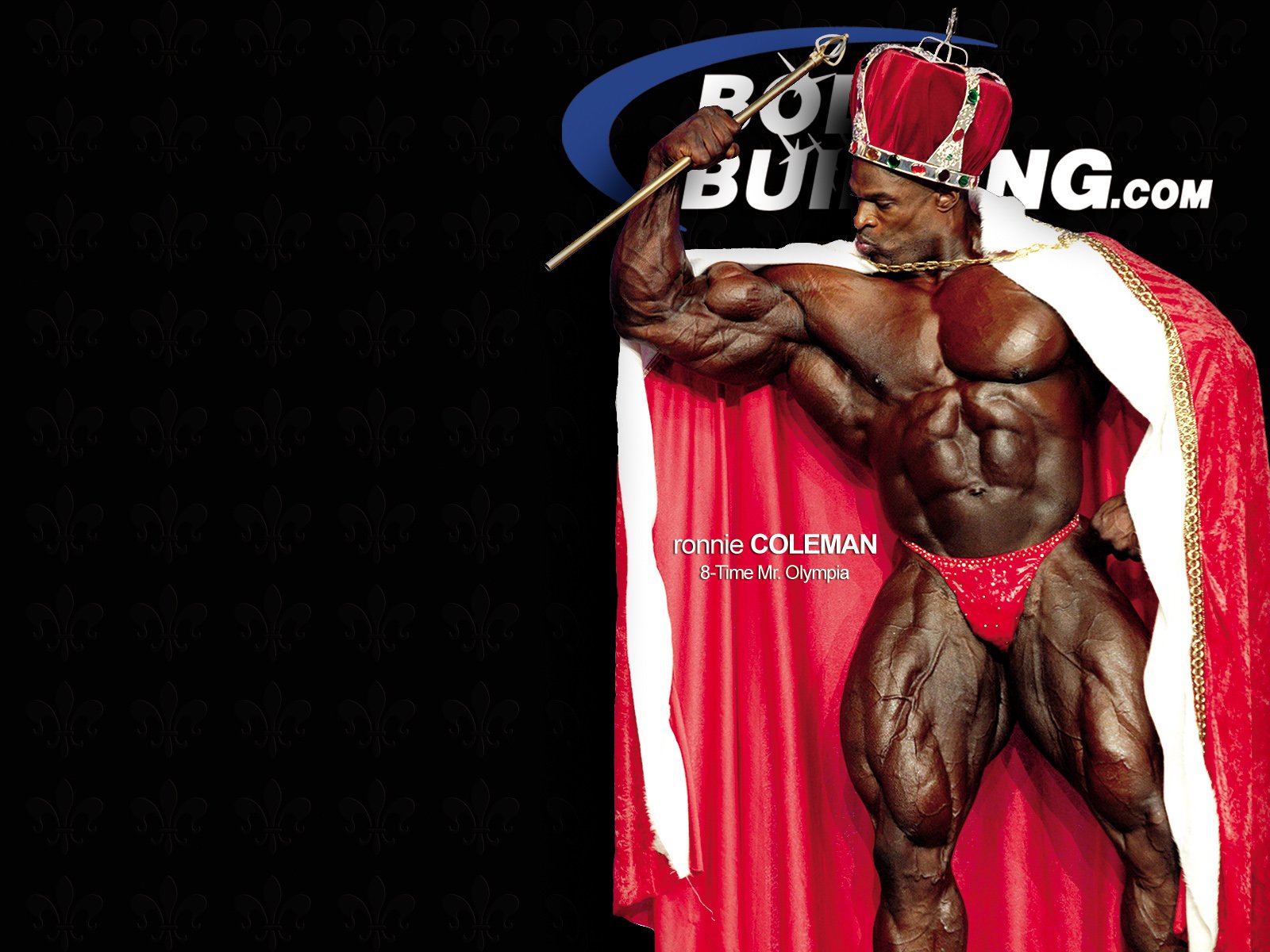 Lift Hard Die Huge - Ronnie Coleman The King , HD Wallpaper & Backgrounds
