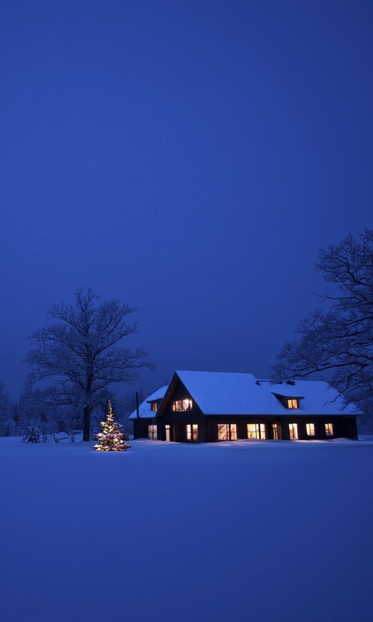 Lonely House, Winter Landscape And Christmas Tree Mobile - Snow , HD Wallpaper & Backgrounds
