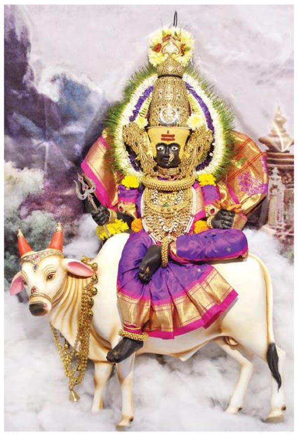 Kolhapur Mahalaxmi In Navratri , HD Wallpaper & Backgrounds