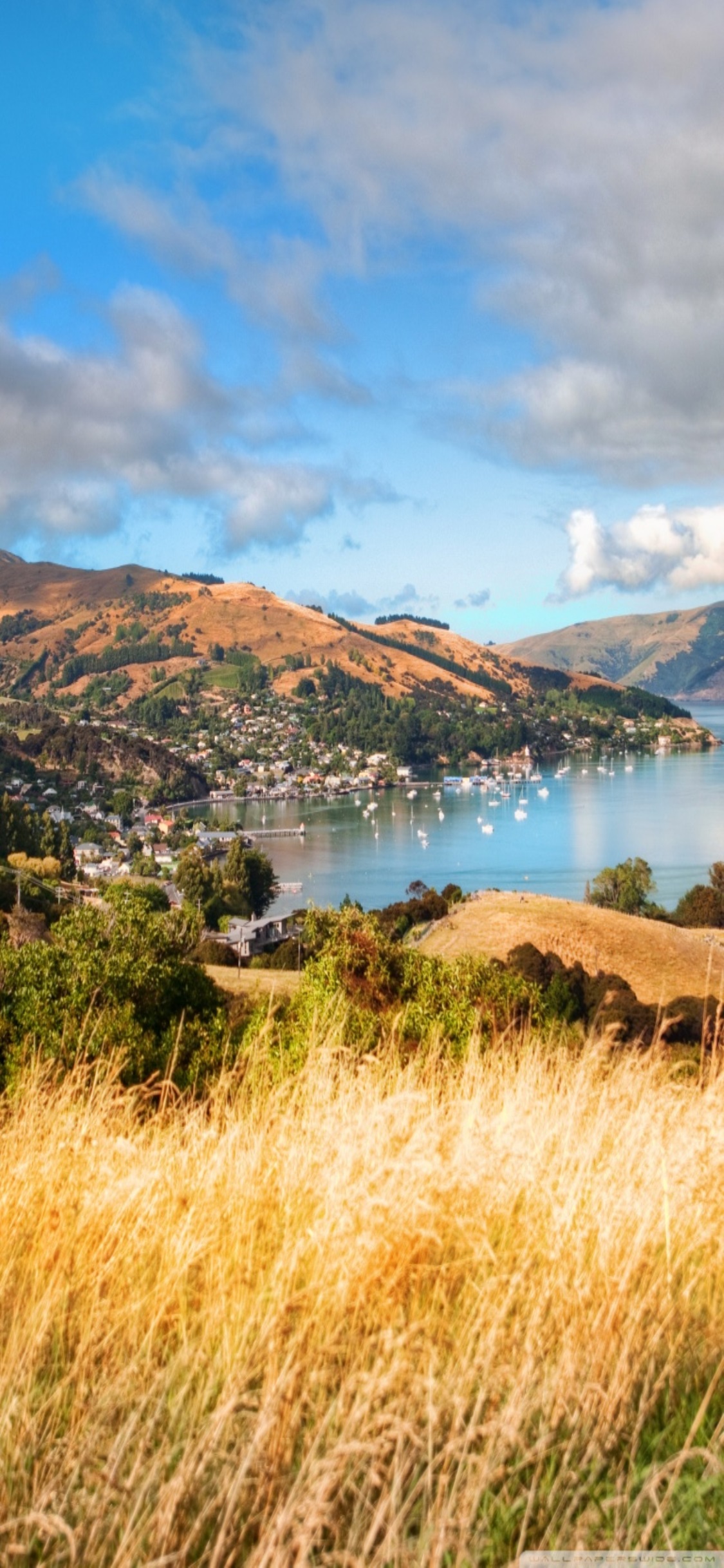 New Zealand Wallpaper For Iphone Akaroa New Zealand - New Zealand Iphone X , HD Wallpaper & Backgrounds