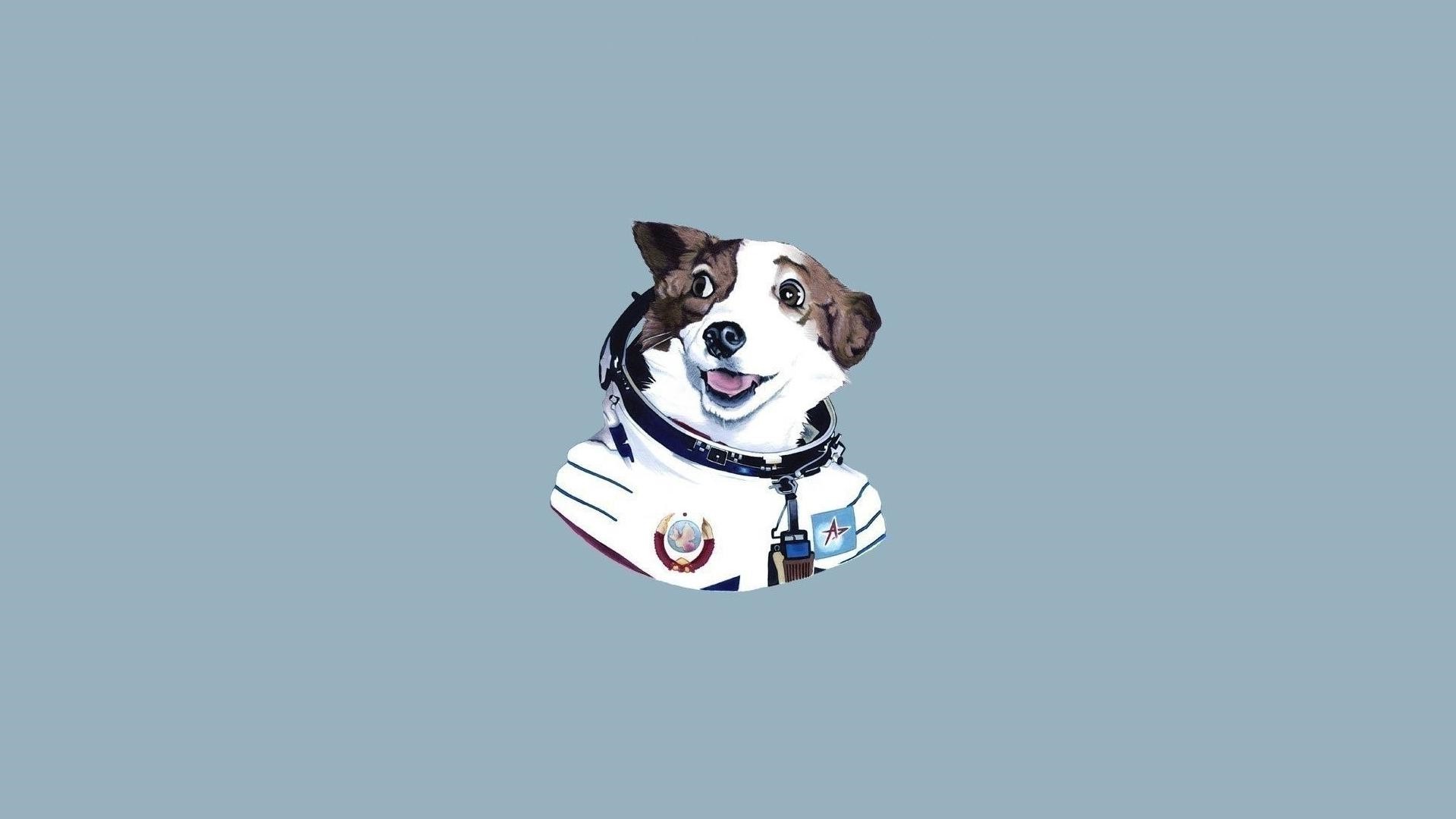 Dog Astronauta Minimalism Wallpaper And Background - Desktop Wallpaper Minimalist Dog , HD Wallpaper & Backgrounds