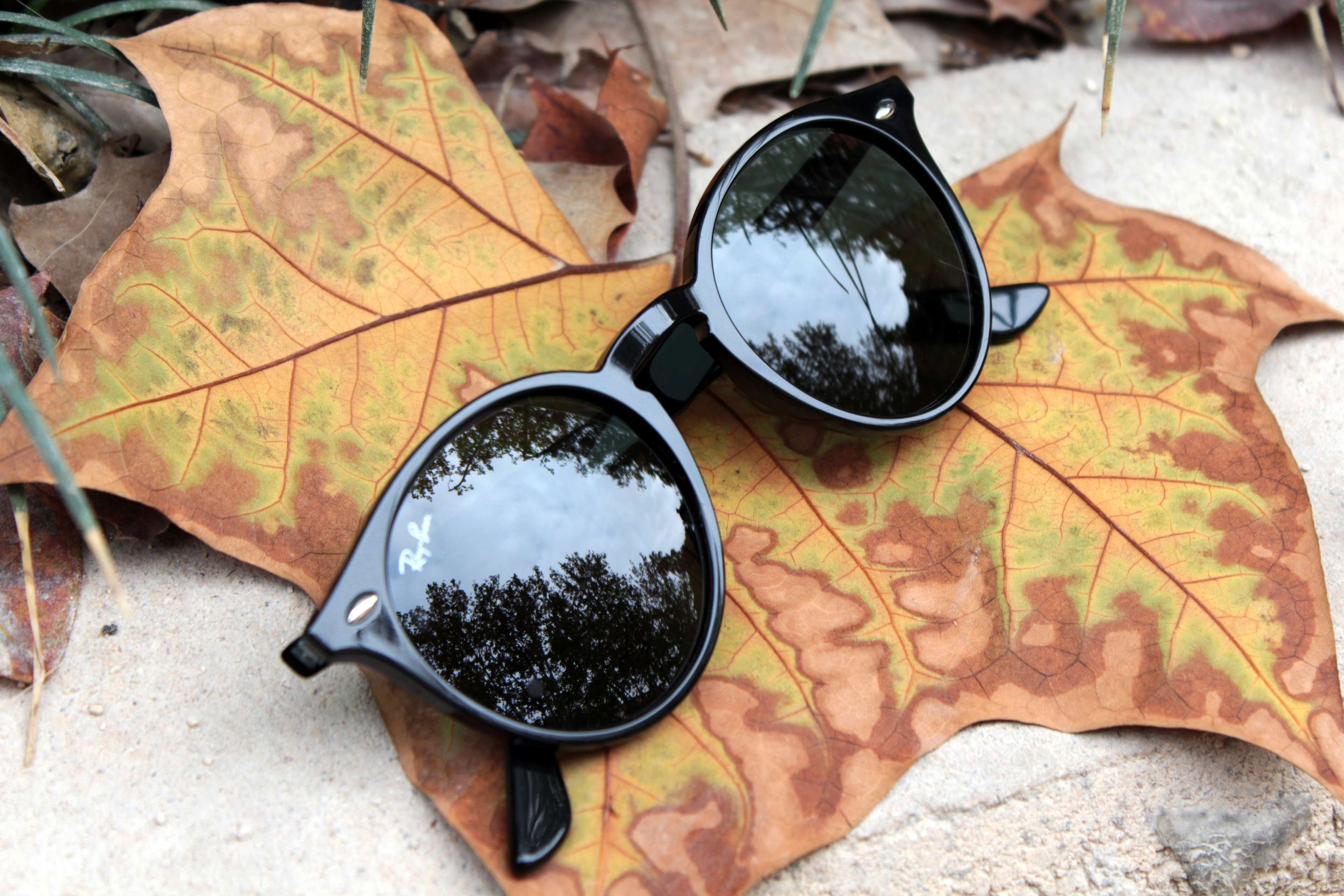 Autumn, Closeup, Eyewear, Glasses, Leaf, Rayban, Sunglasses - Autumn Ray Ban , HD Wallpaper & Backgrounds