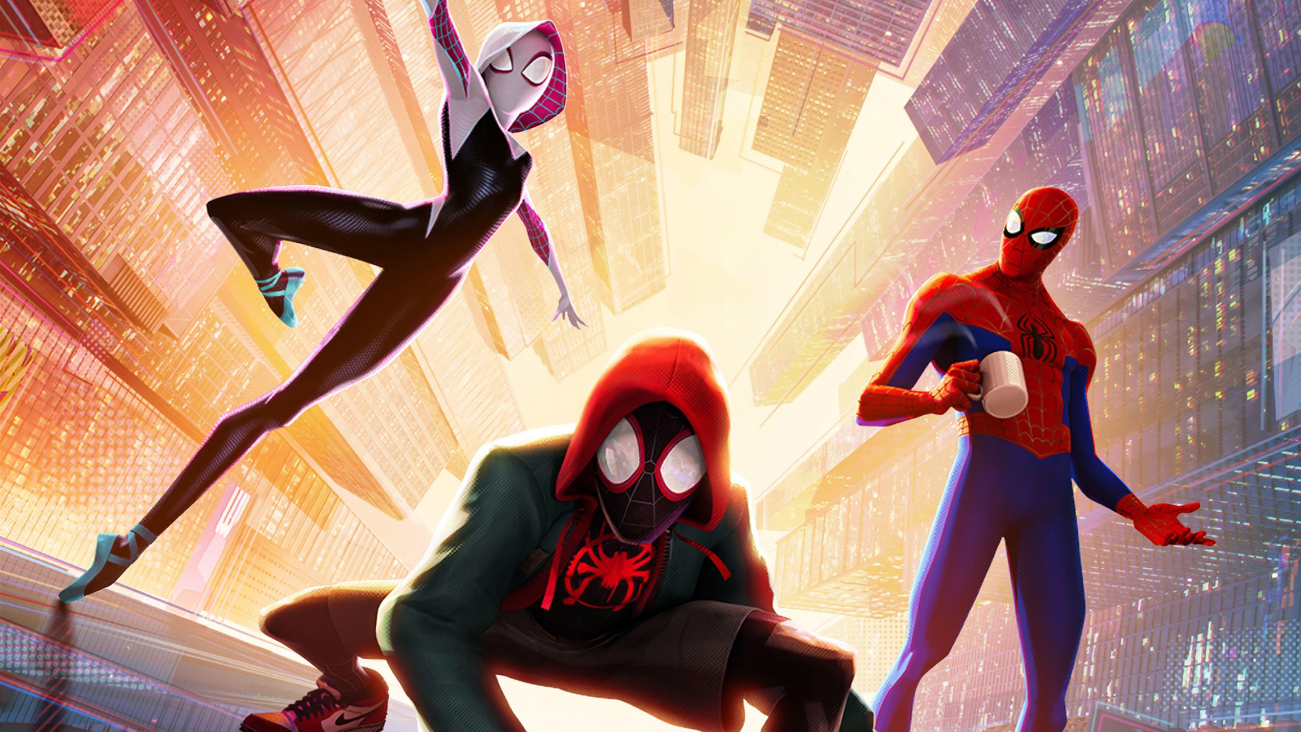 Spider Man Into The Spider Verse , HD Wallpaper & Backgrounds