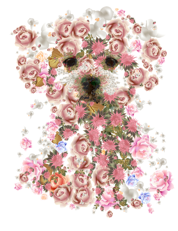 Vintage Doggy Bichon Frise - Perrito Vintage , HD Wallpaper & Backgrounds