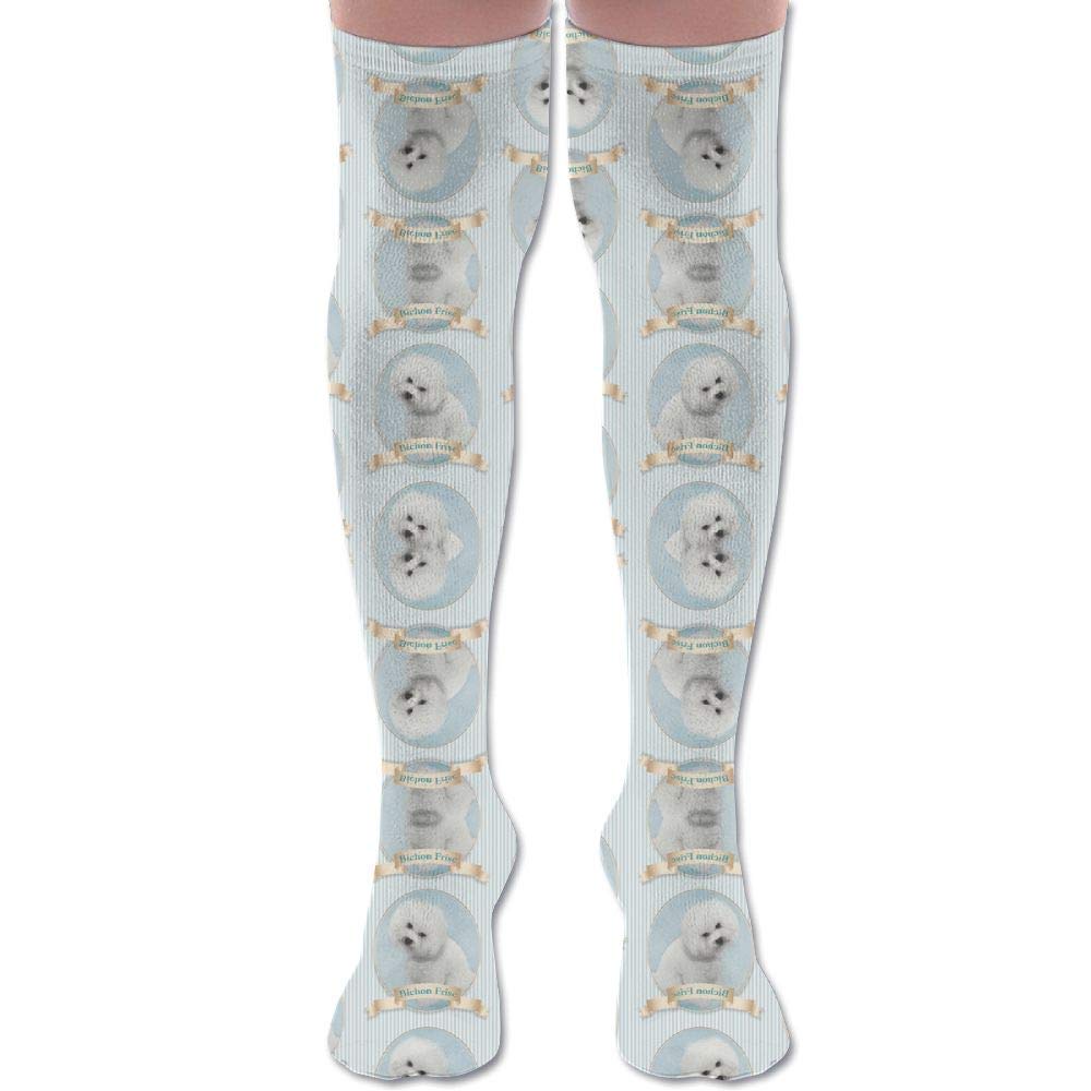 Bichon Frise Wallpaper Athletic Tube Stockings Women's - Pattern , HD Wallpaper & Backgrounds
