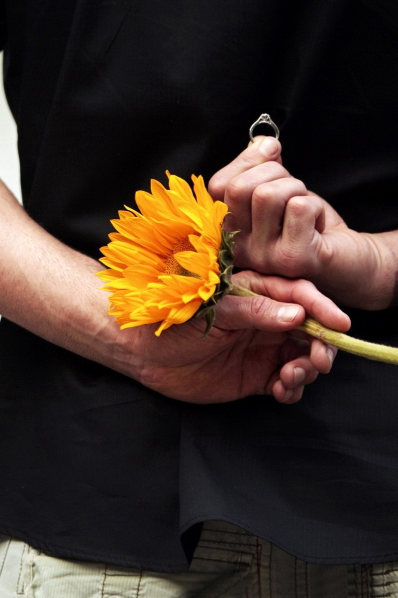 Wallpaper Boy, Girl, Hand, Flower, Ring, Proposal, - Propose Pic With Name , HD Wallpaper & Backgrounds