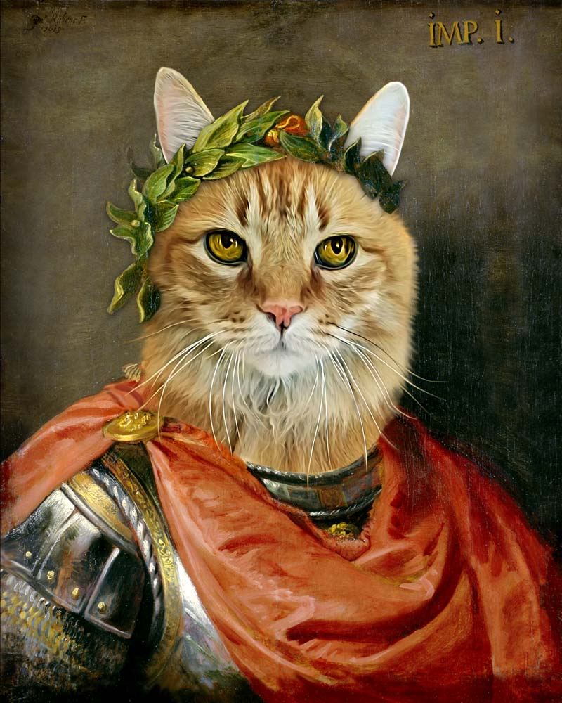 Excelent Julius Caesar • The Renaissance Pet Combination - Julius Caesar Portrait , HD Wallpaper & Backgrounds