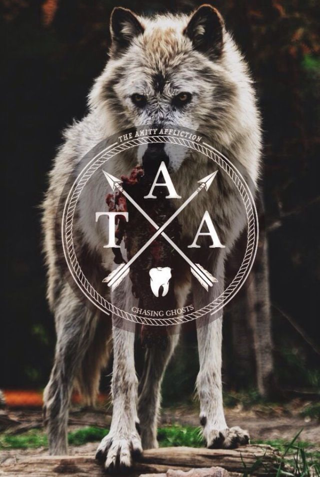Amity Affliction Band Art , HD Wallpaper & Backgrounds