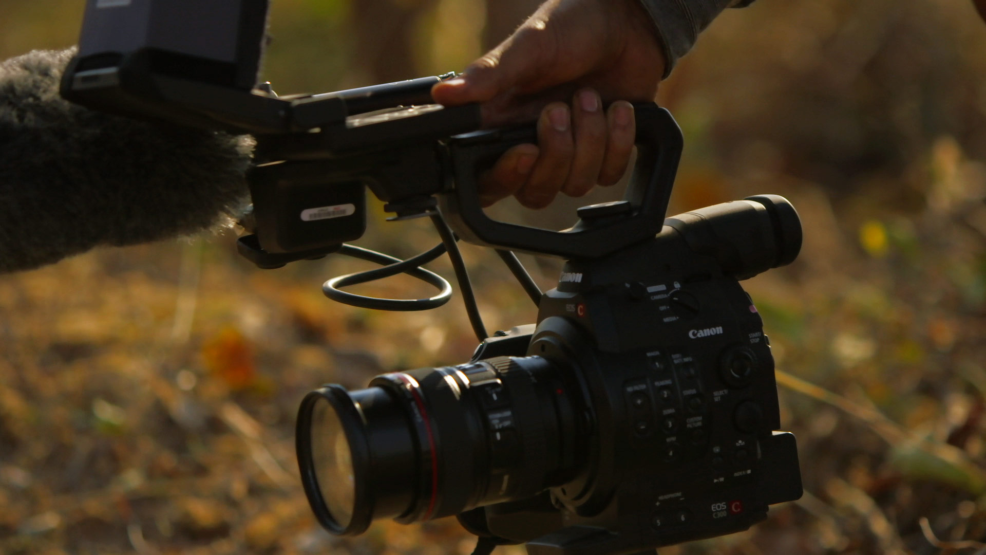 C300 Documentary , HD Wallpaper & Backgrounds