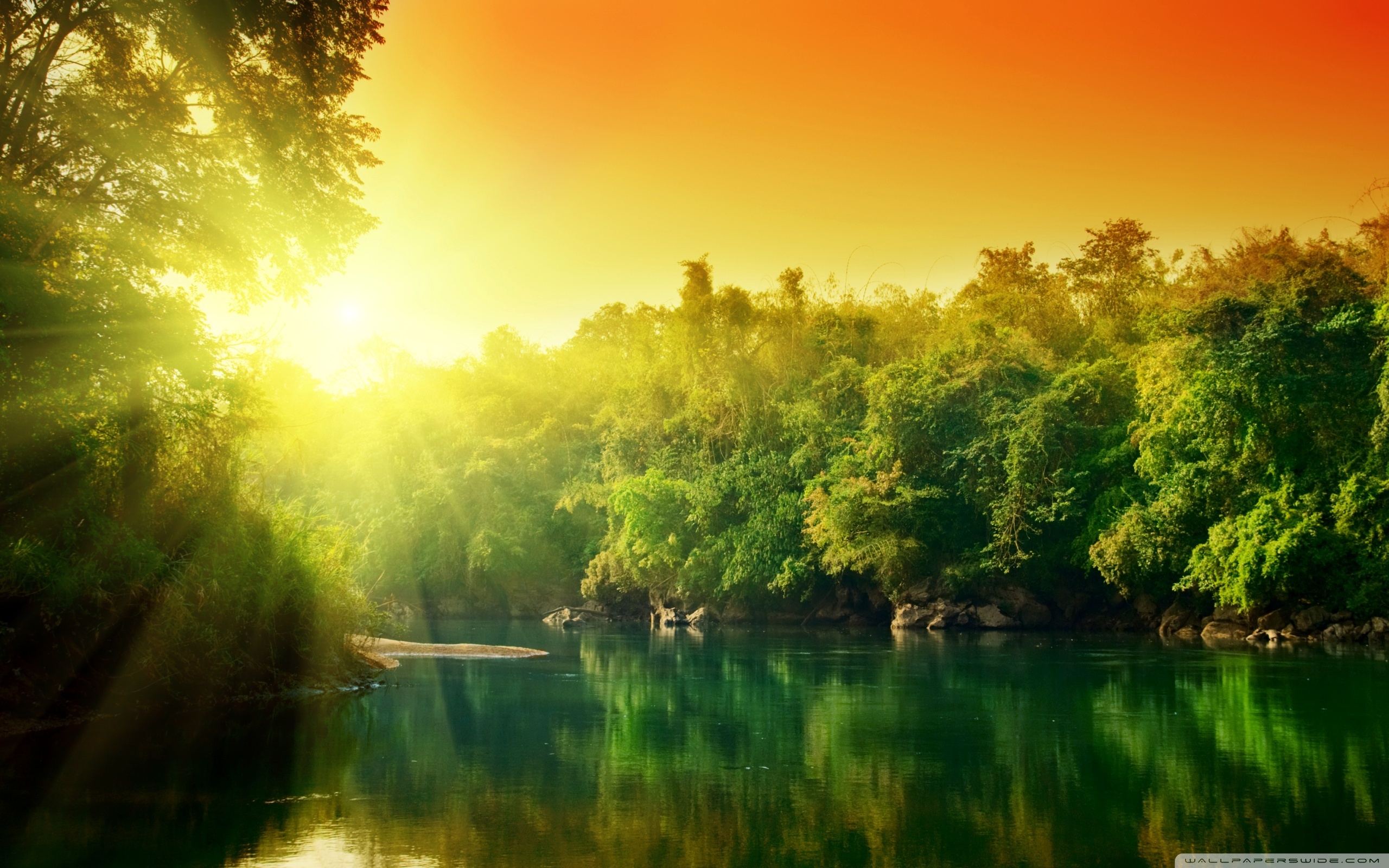 Related Wallpapers - Sun Rise In Forest , HD Wallpaper & Backgrounds