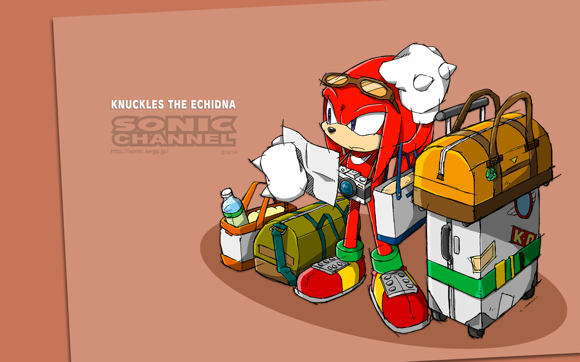 Knuckles The Echidna Fruit , HD Wallpaper & Backgrounds