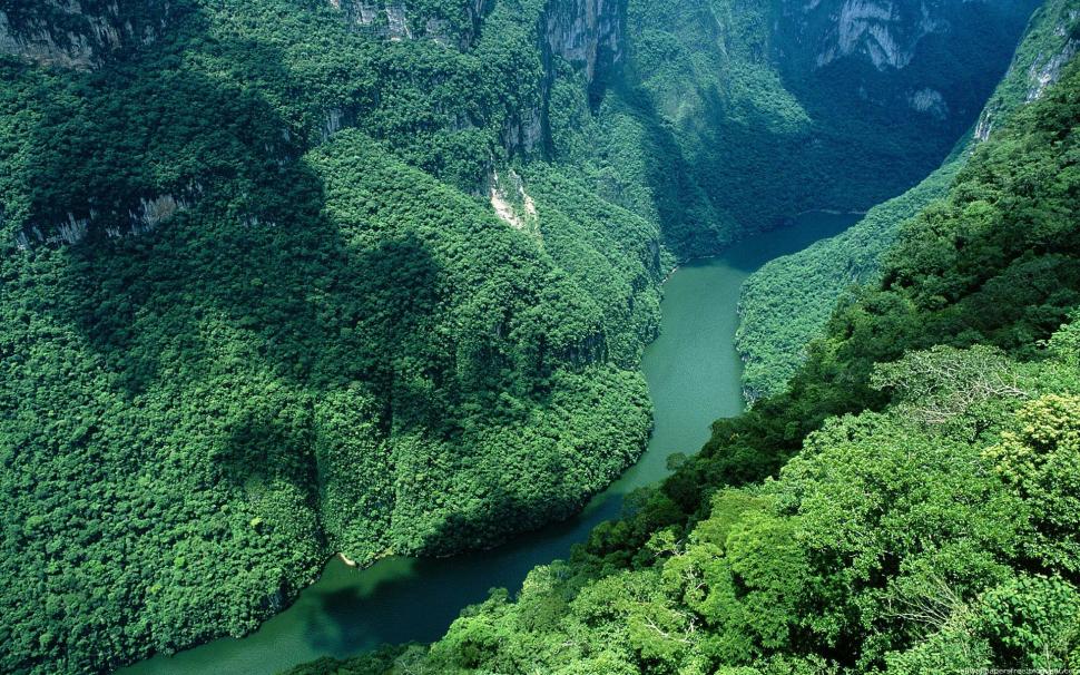 Lush Green Mountainscape Wallpaper - Canon Del Sumidero , HD Wallpaper & Backgrounds